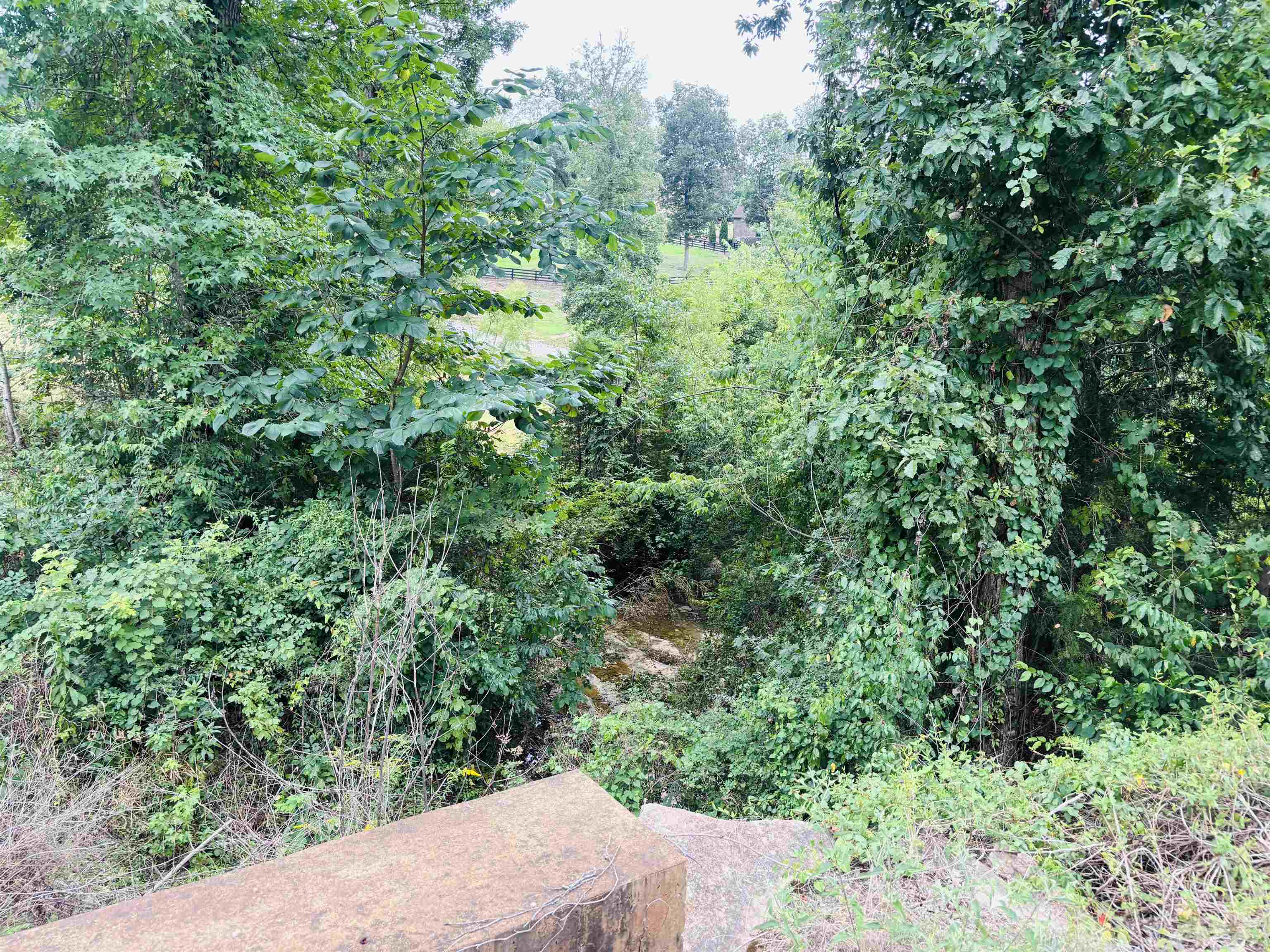 0 Rivers Edge Cir Lot 12 Property Photo 13