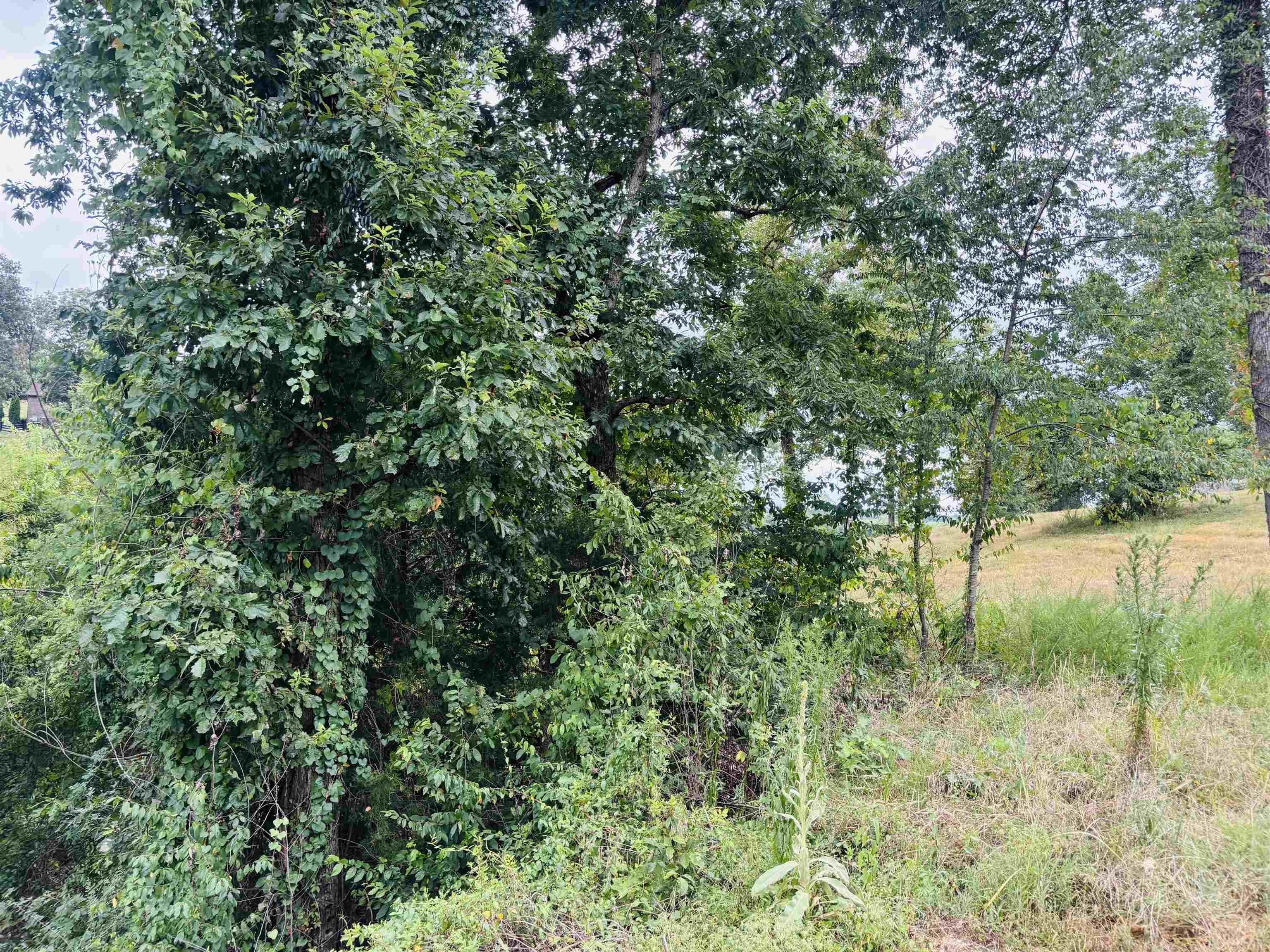 0 Rivers Edge Cir Lot 12 Property Photo 14