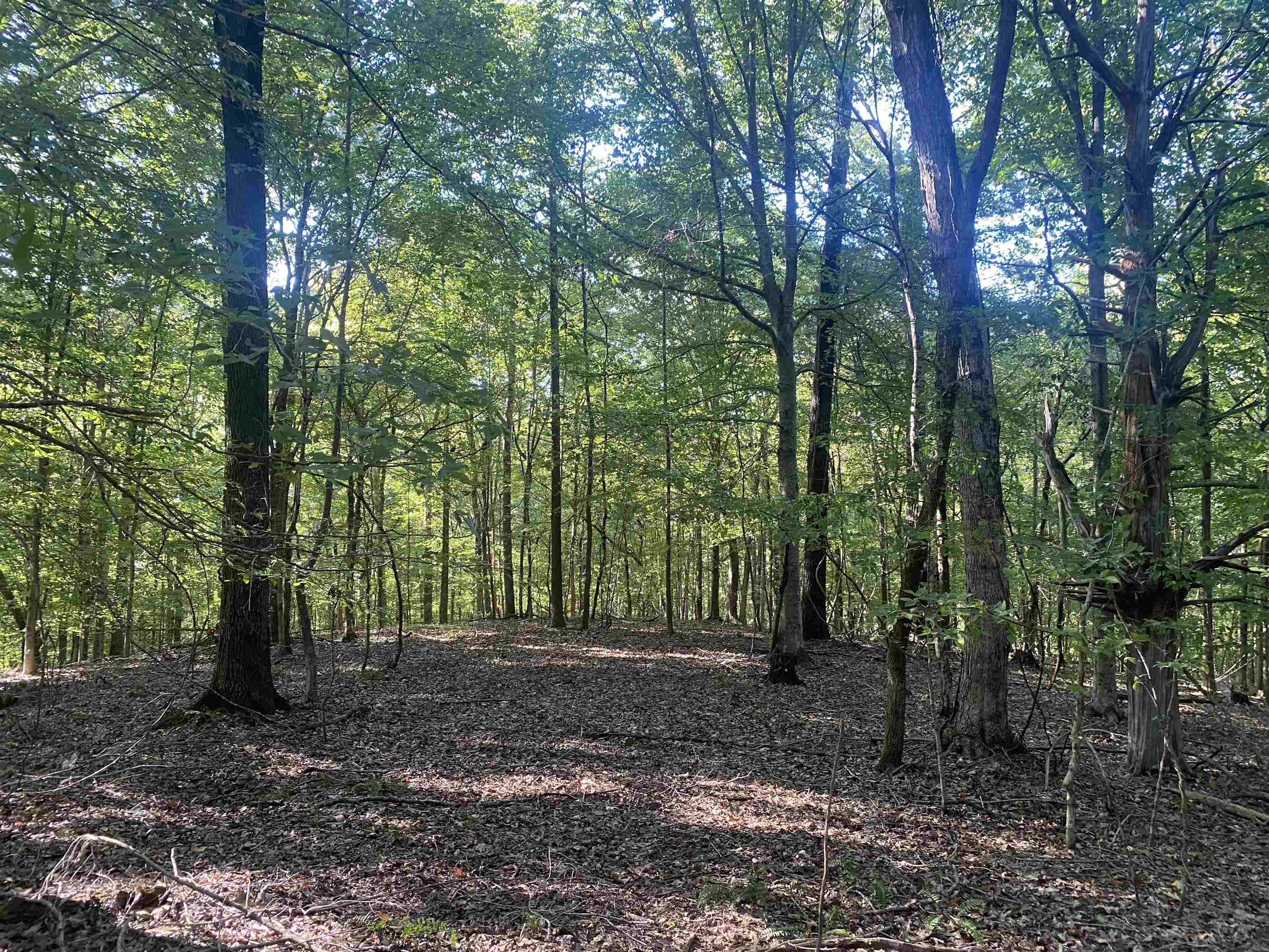 1 Friendship Loop Property Photo 1