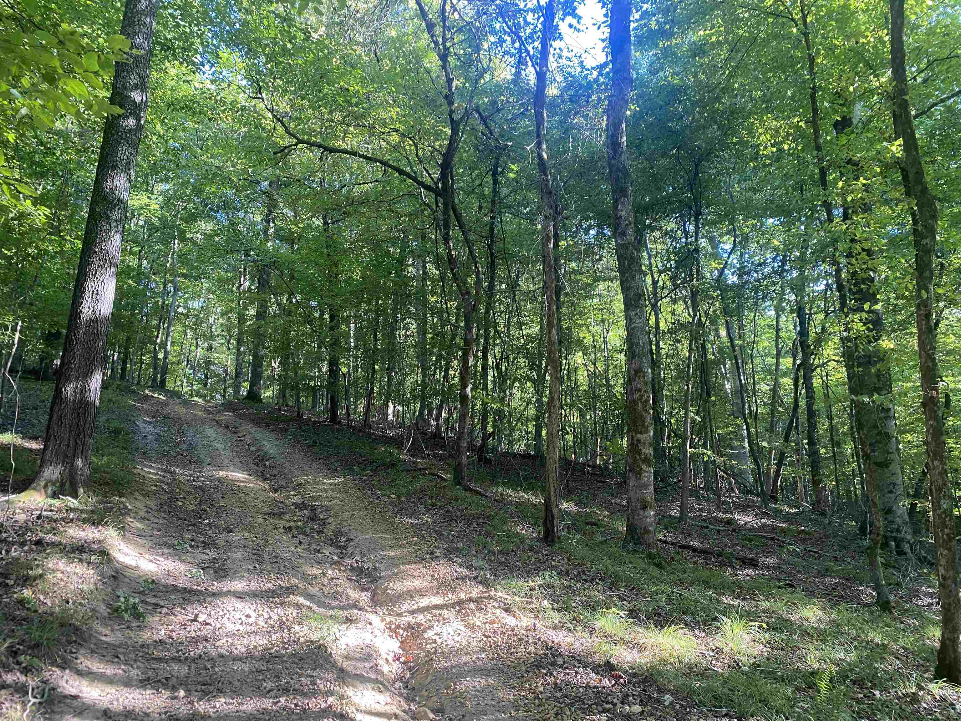 1 Friendship Loop Property Photo 6