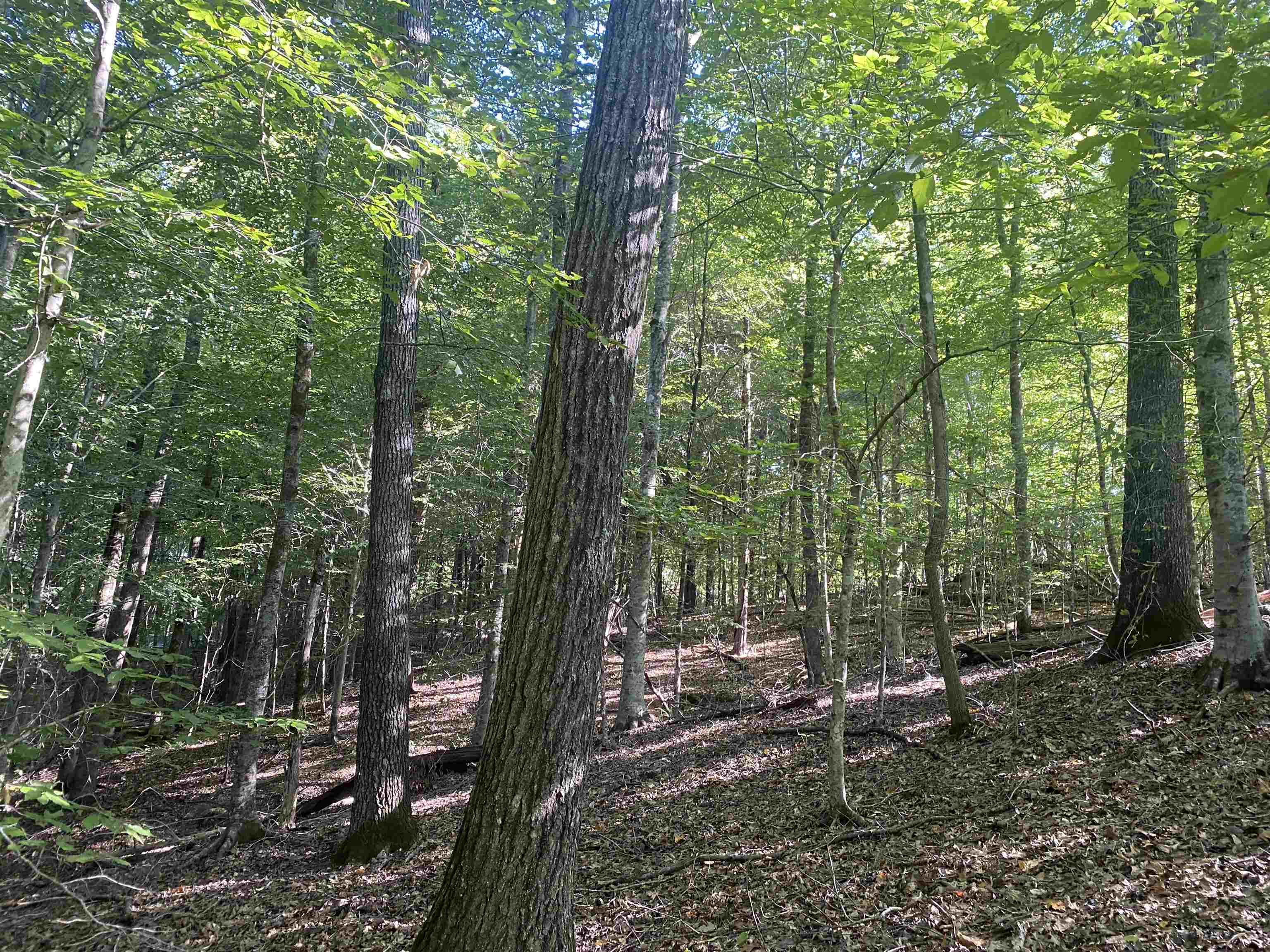 1 Friendship Loop Property Photo 7