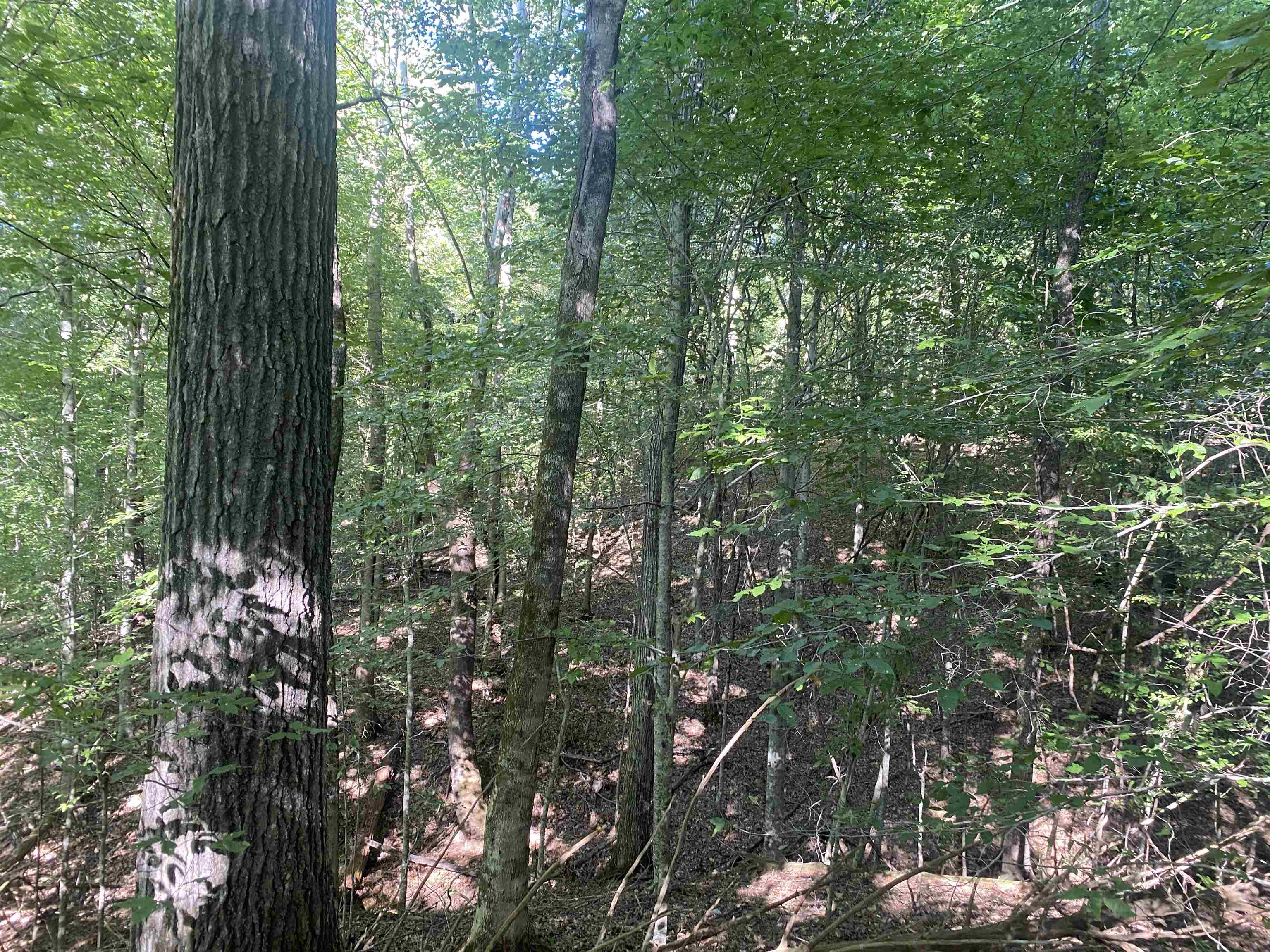 1 Friendship Loop Property Photo 8
