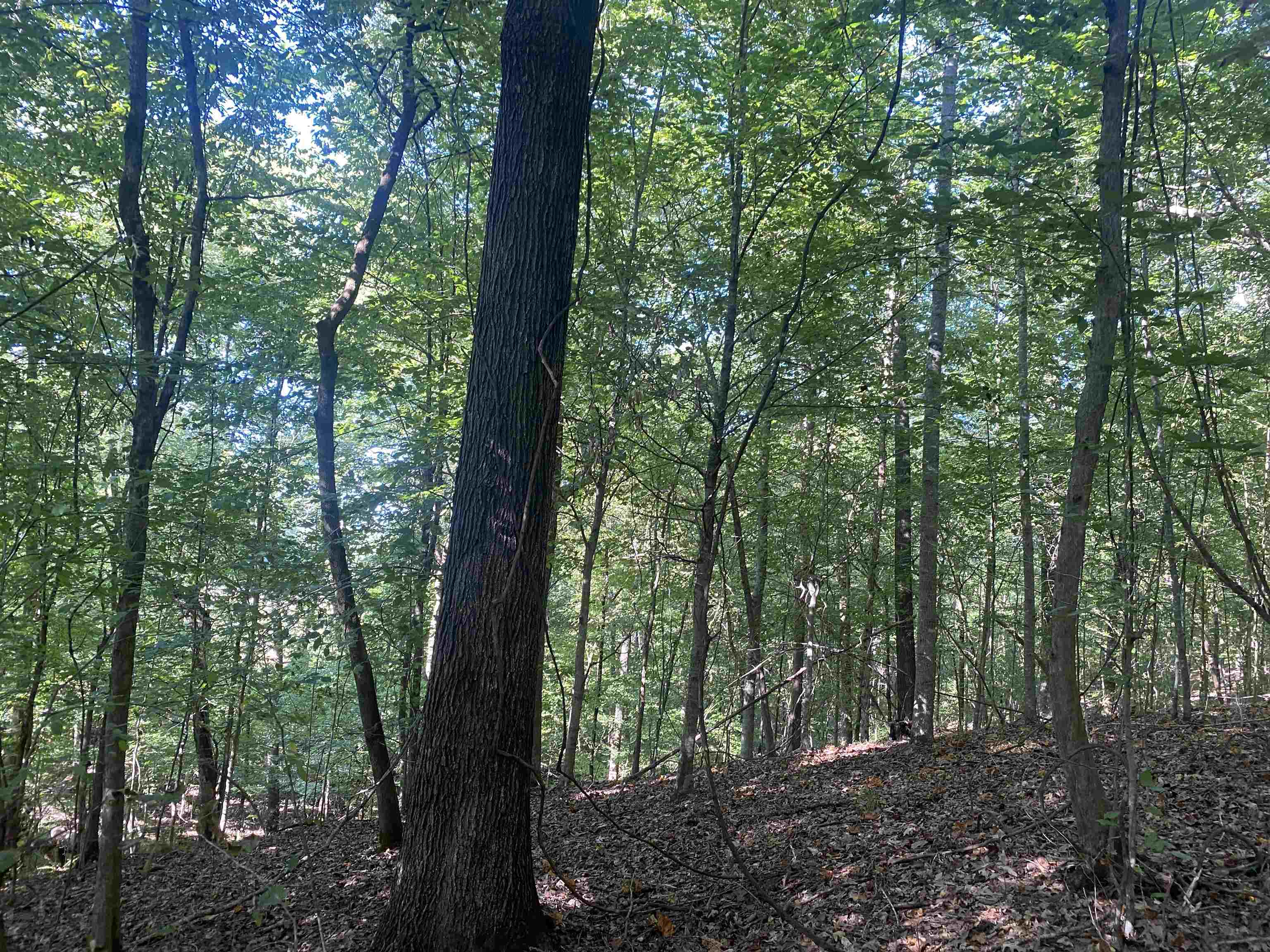 1 Friendship Loop Property Photo 9