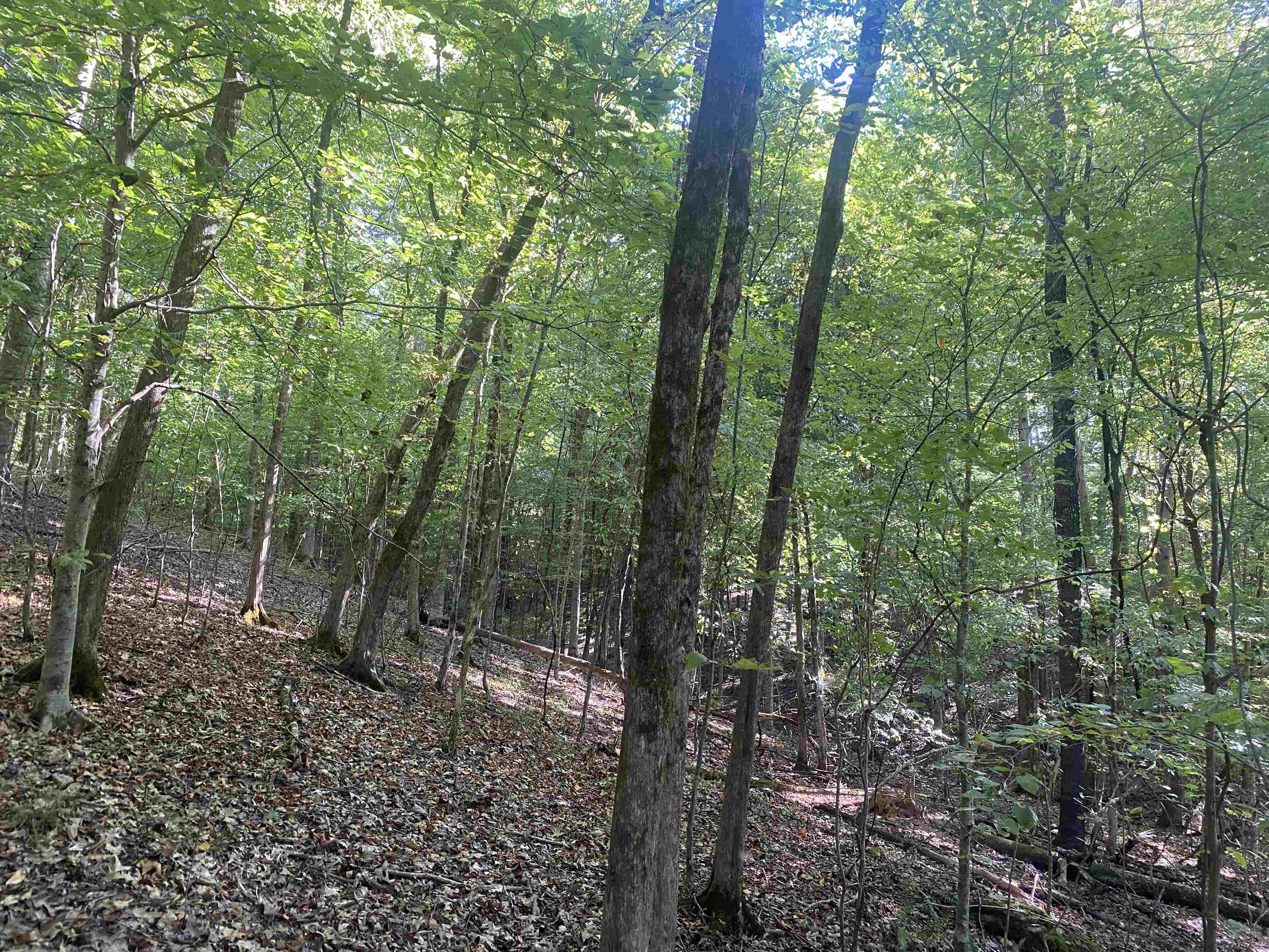 1 Friendship Loop Property Photo 10