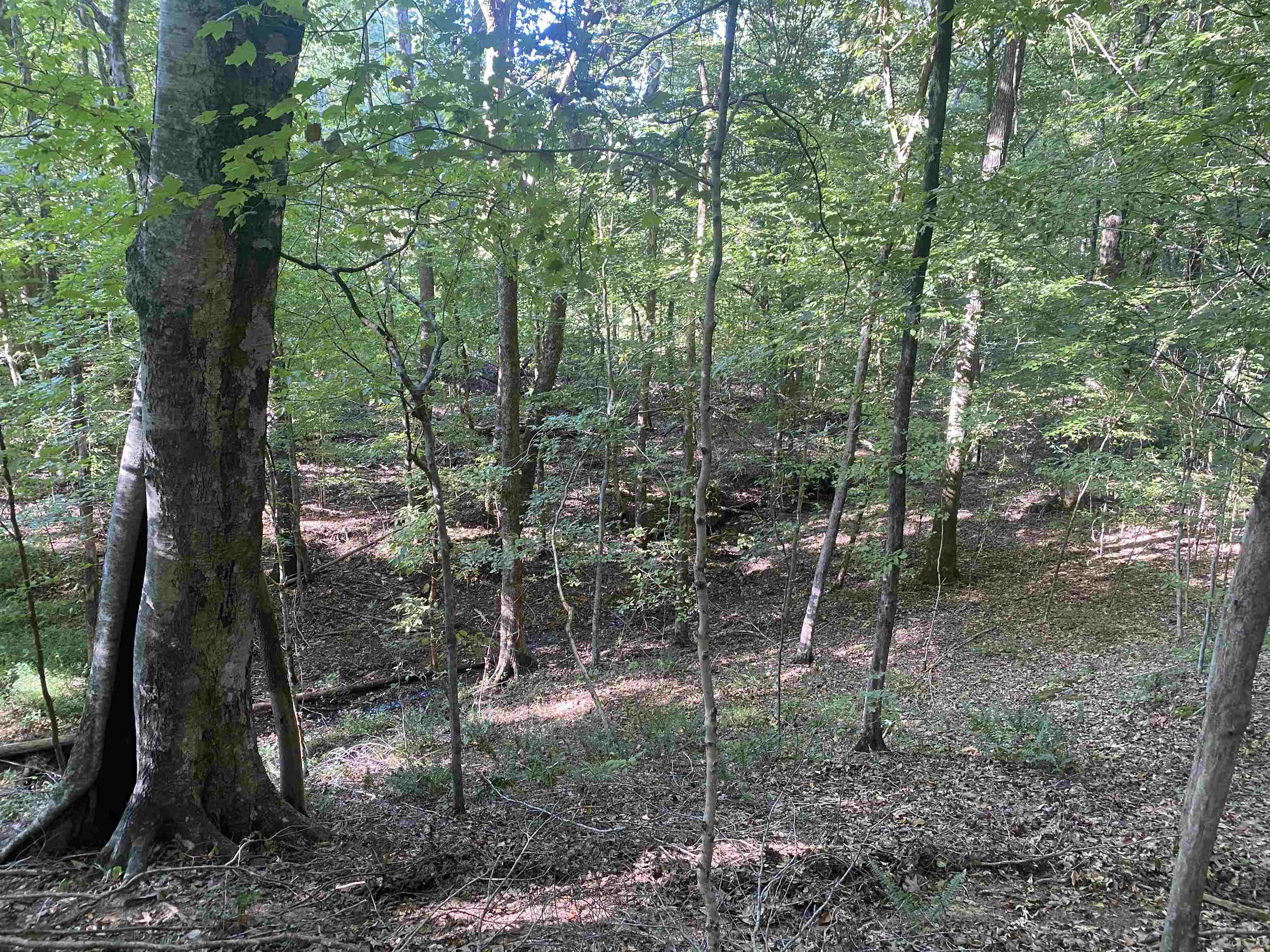 1 Friendship Loop Property Photo 11