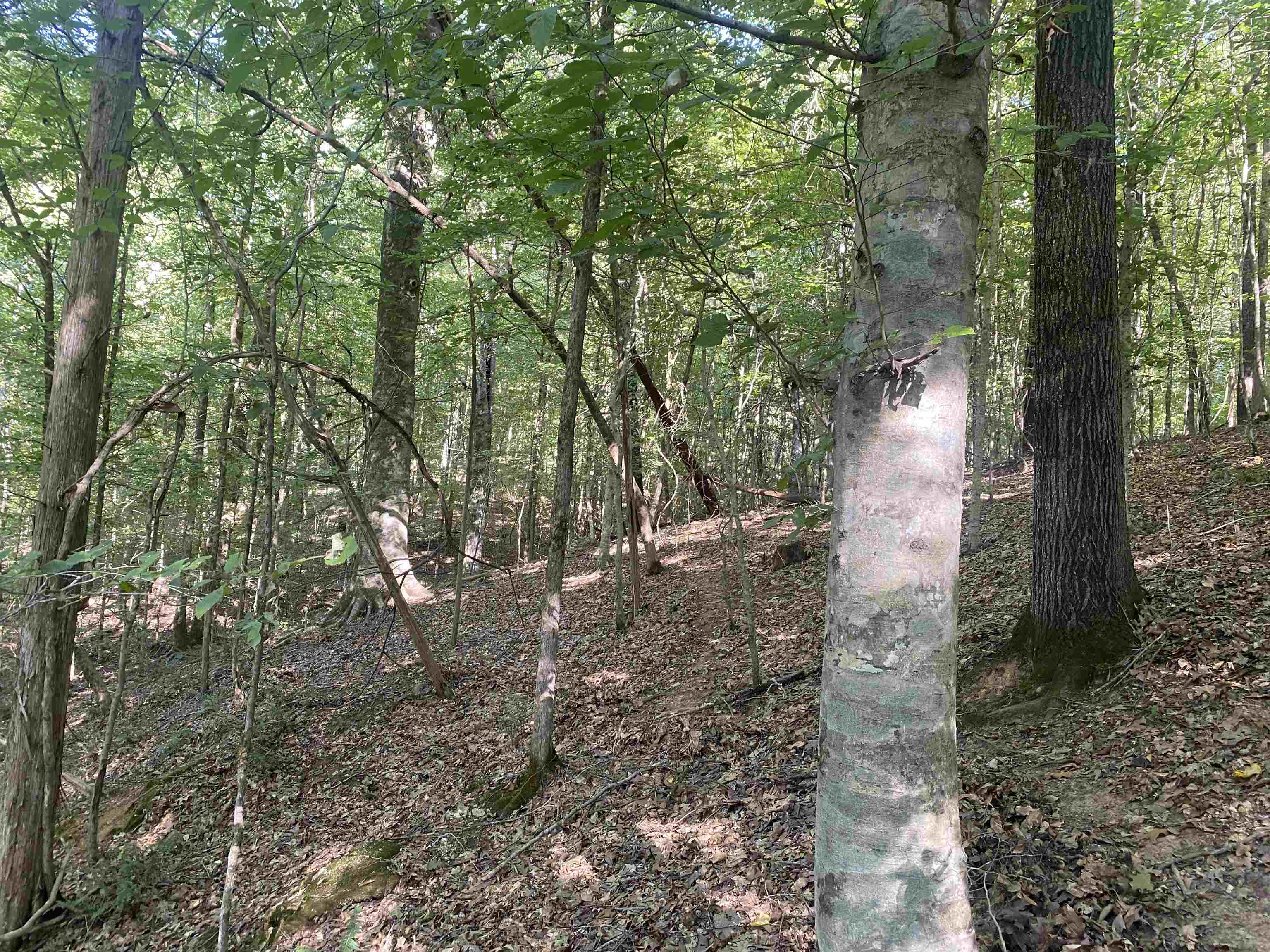 1 Friendship Loop Property Photo 12