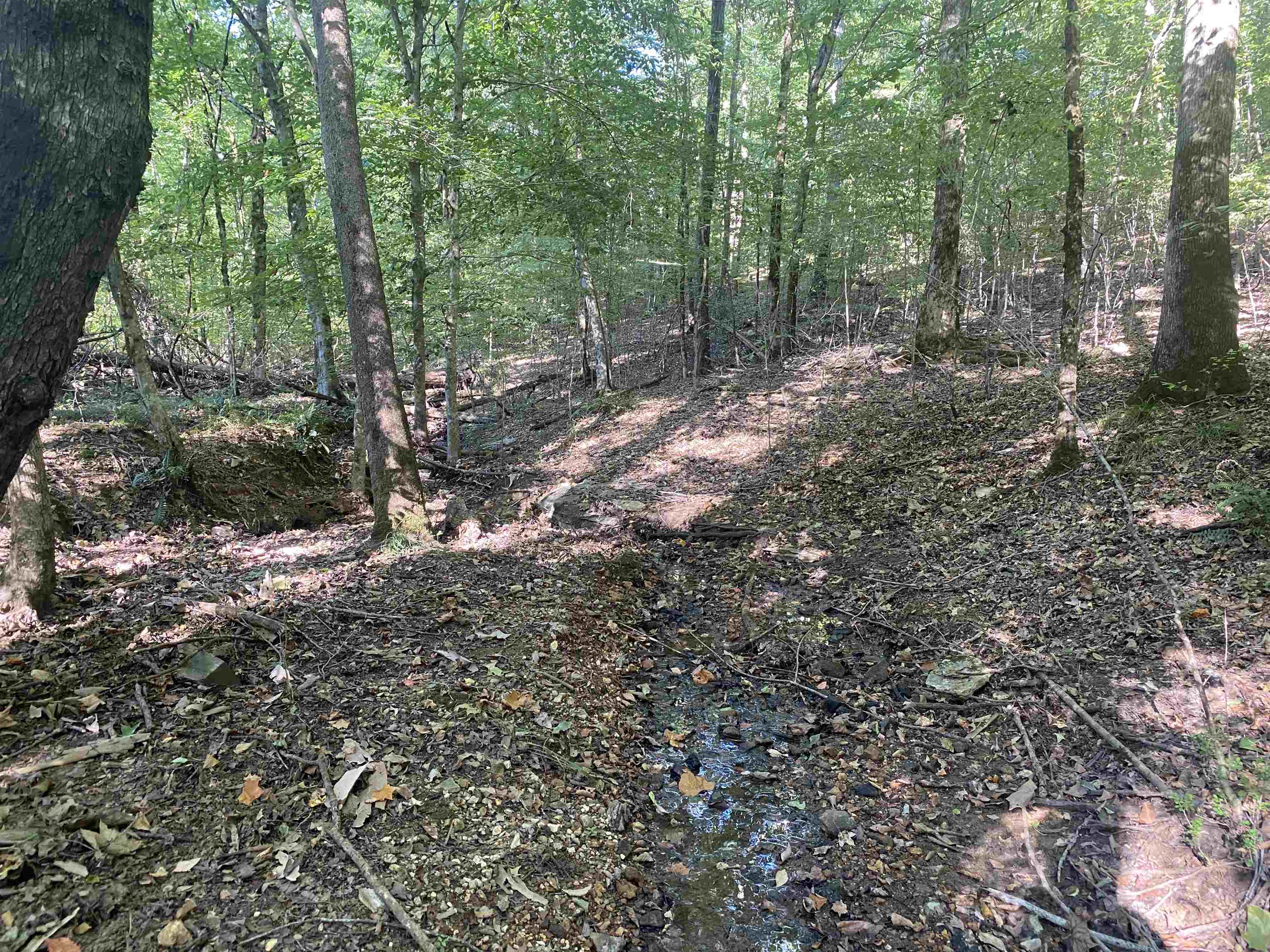 1 Friendship Loop Property Photo 13
