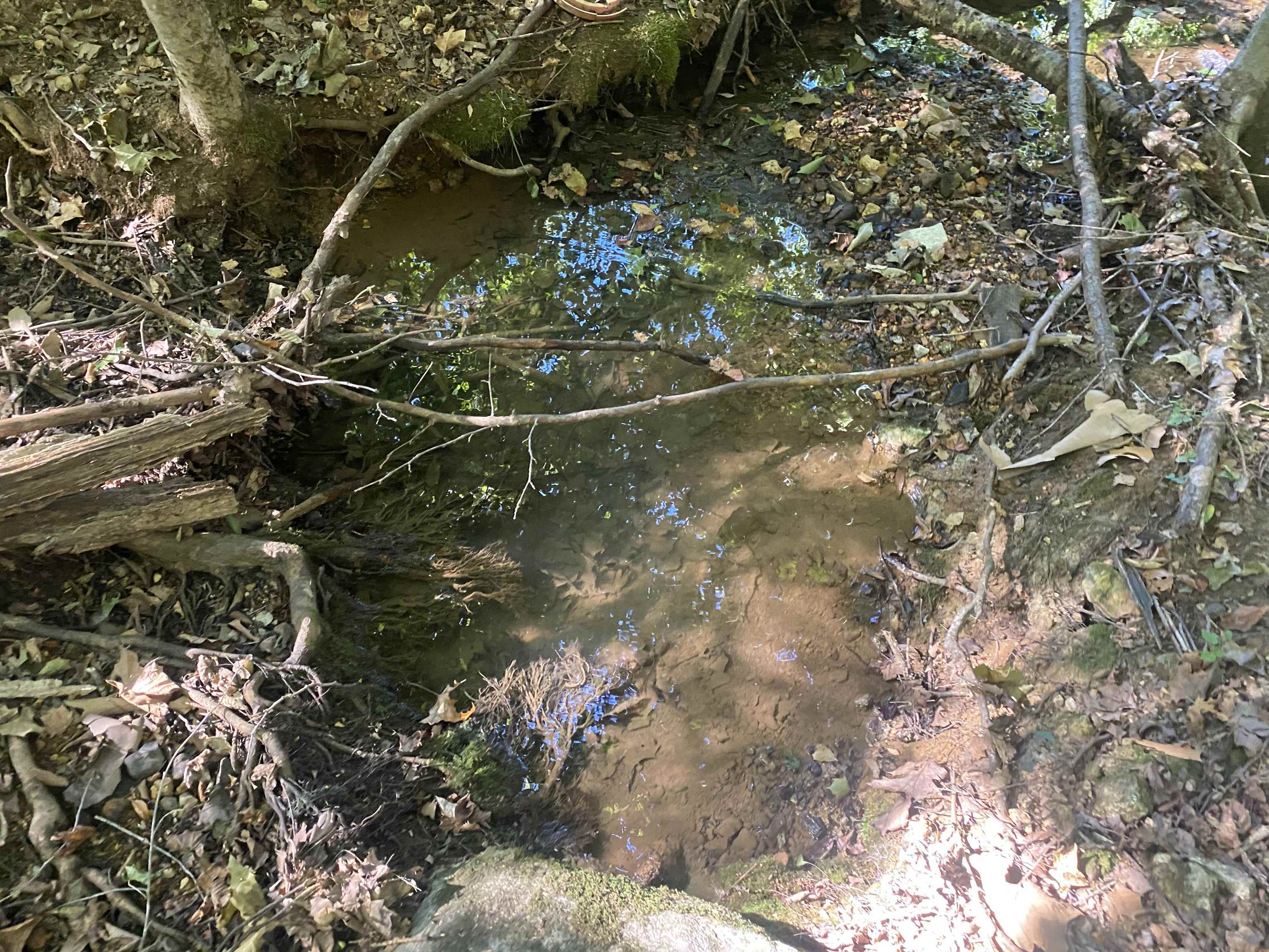 1 Friendship Loop Property Photo 14