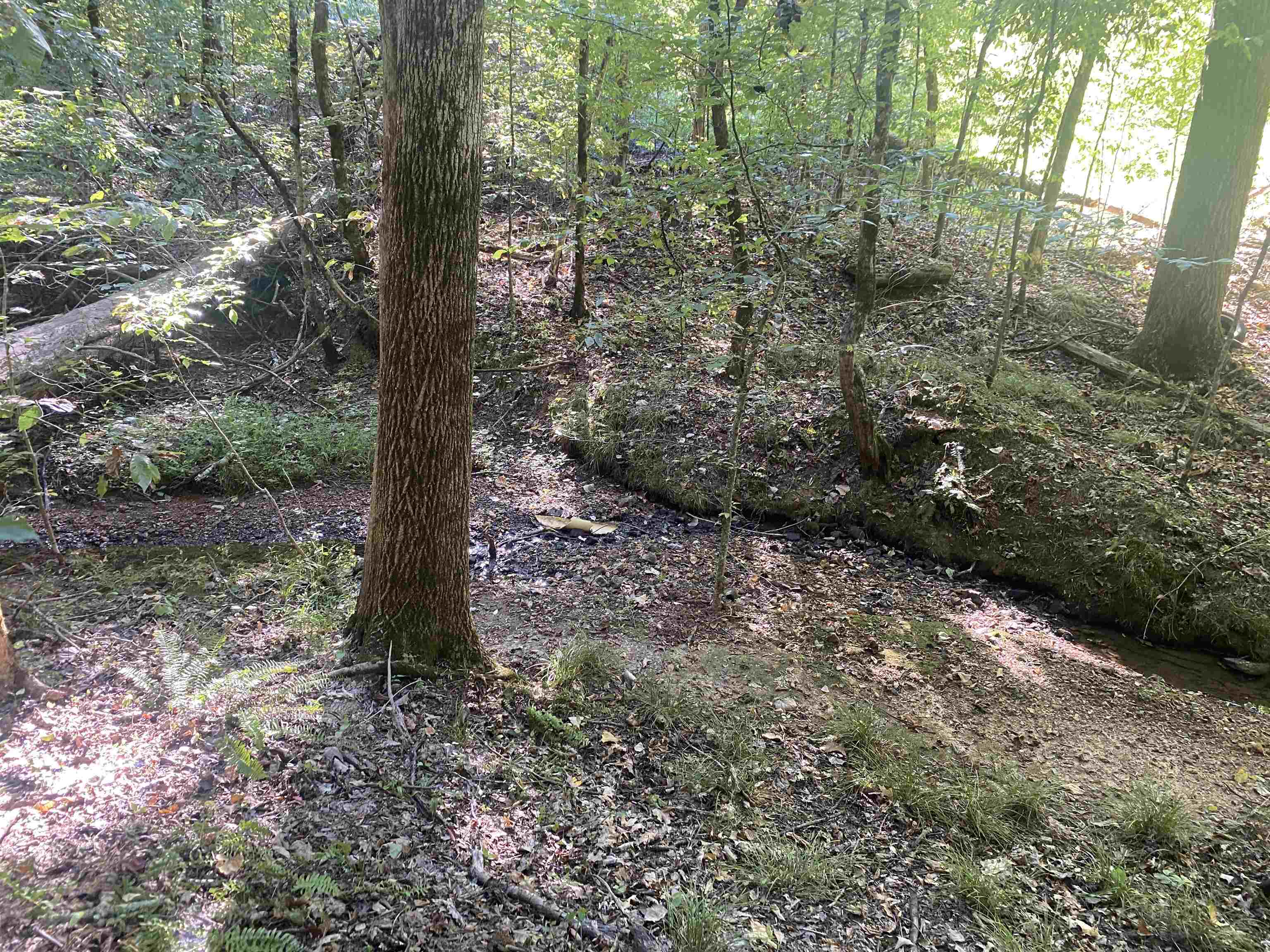 1 Friendship Loop Property Photo 15