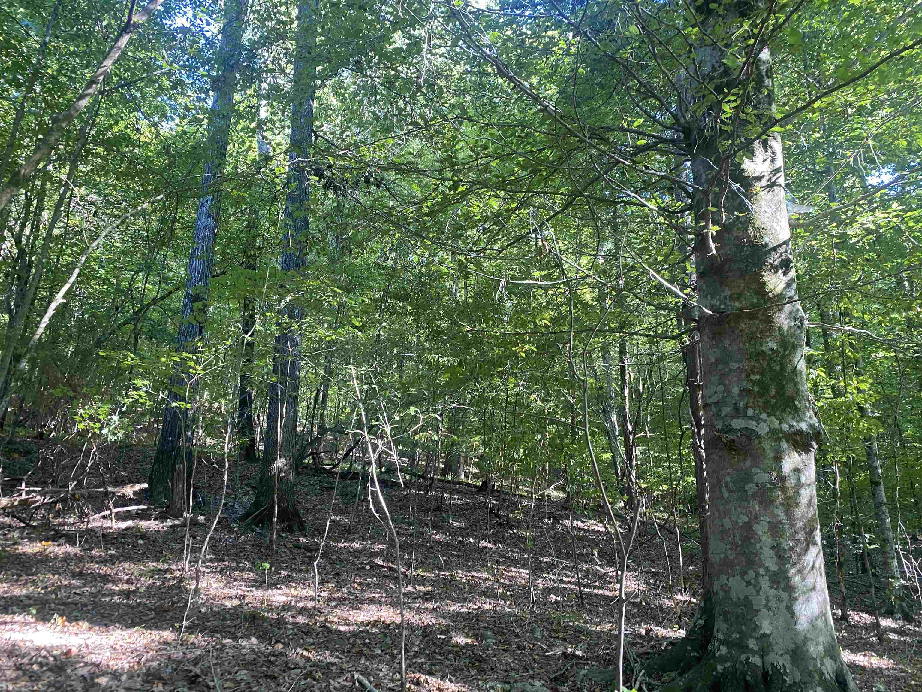 1 Friendship Loop Property Photo 16