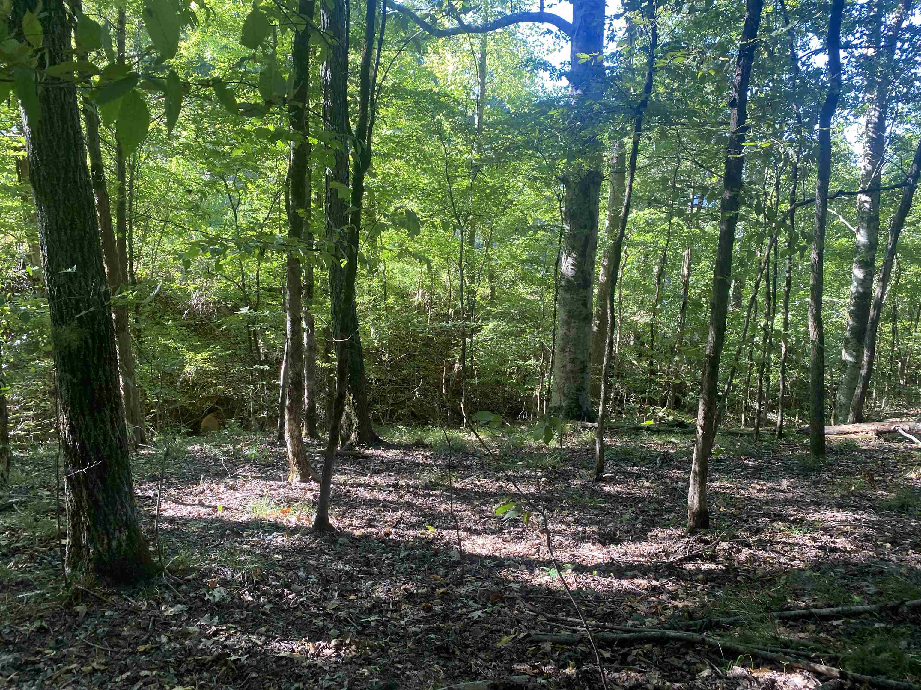 1 Friendship Loop Property Photo 17