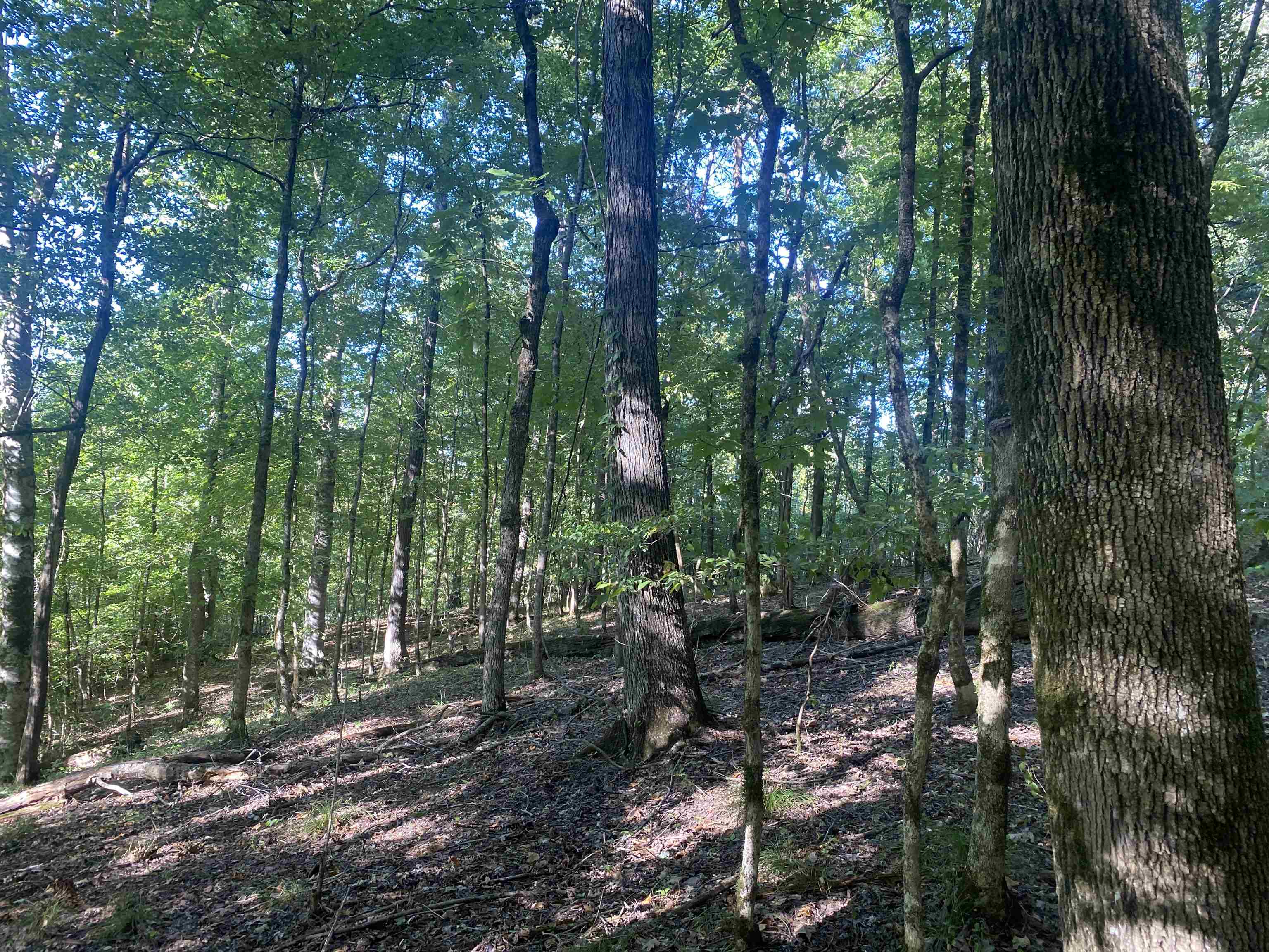 1 Friendship Loop Property Photo 18