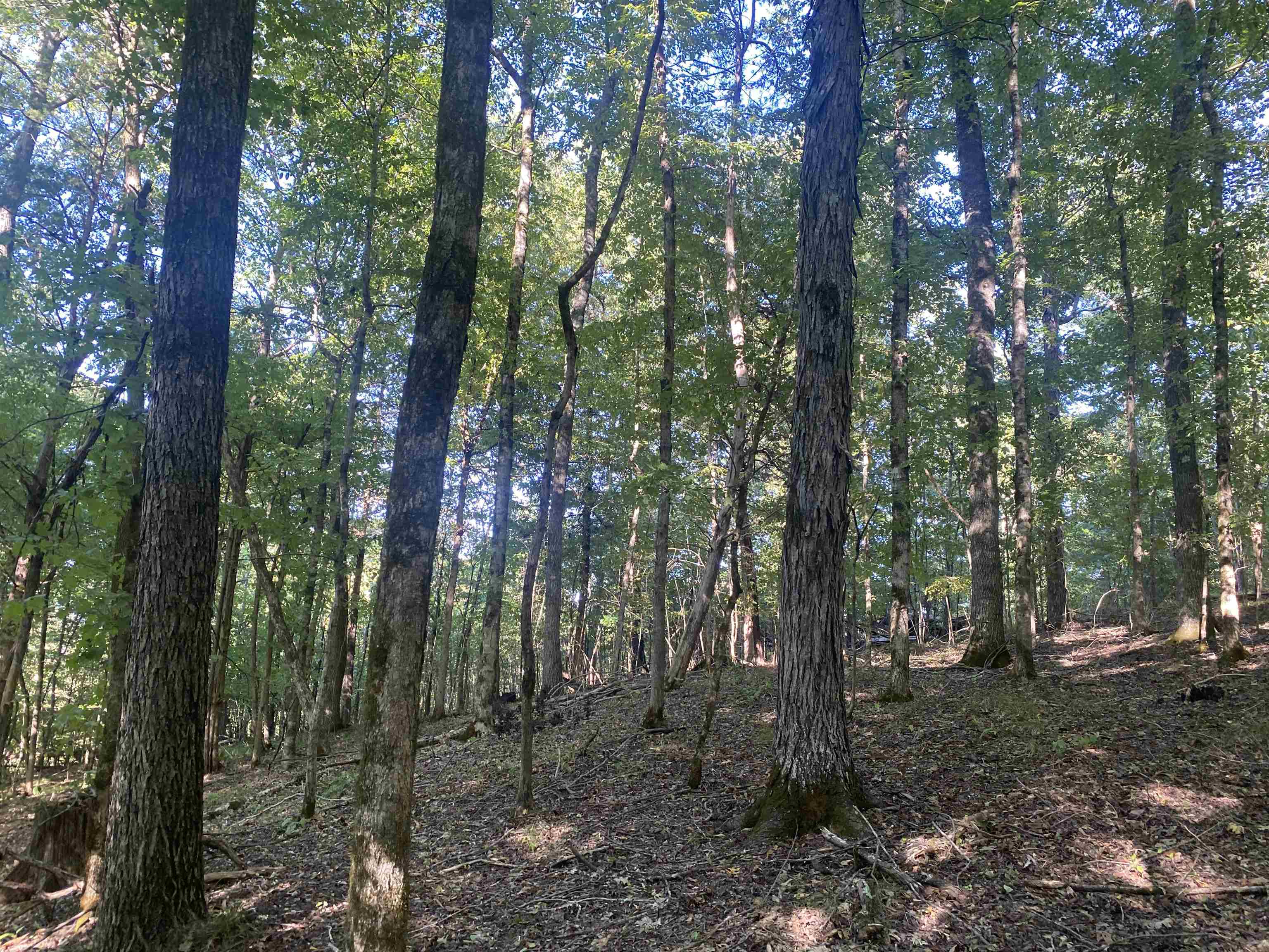 1 Friendship Loop Property Photo 19