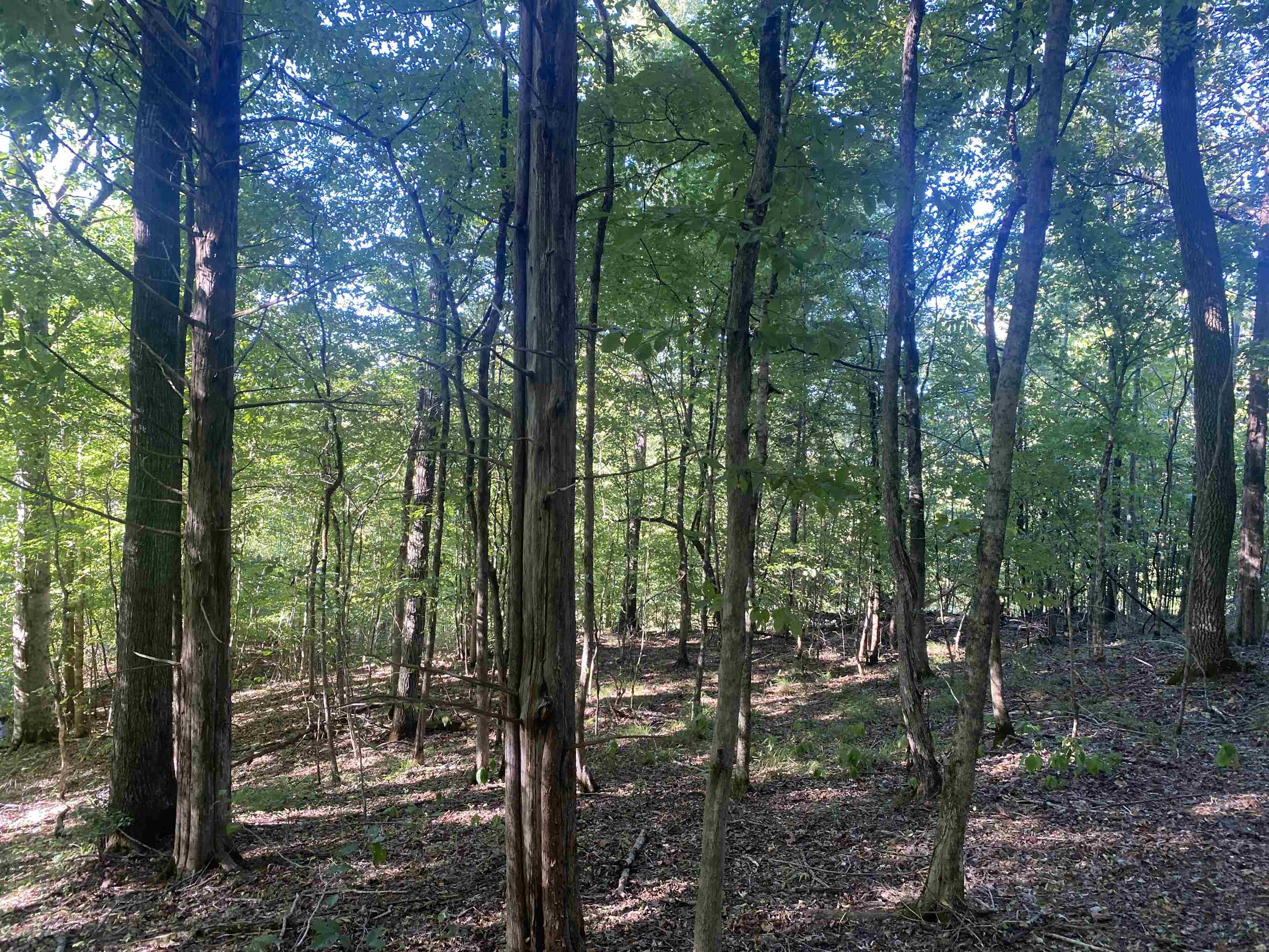 1 Friendship Loop Property Photo 20
