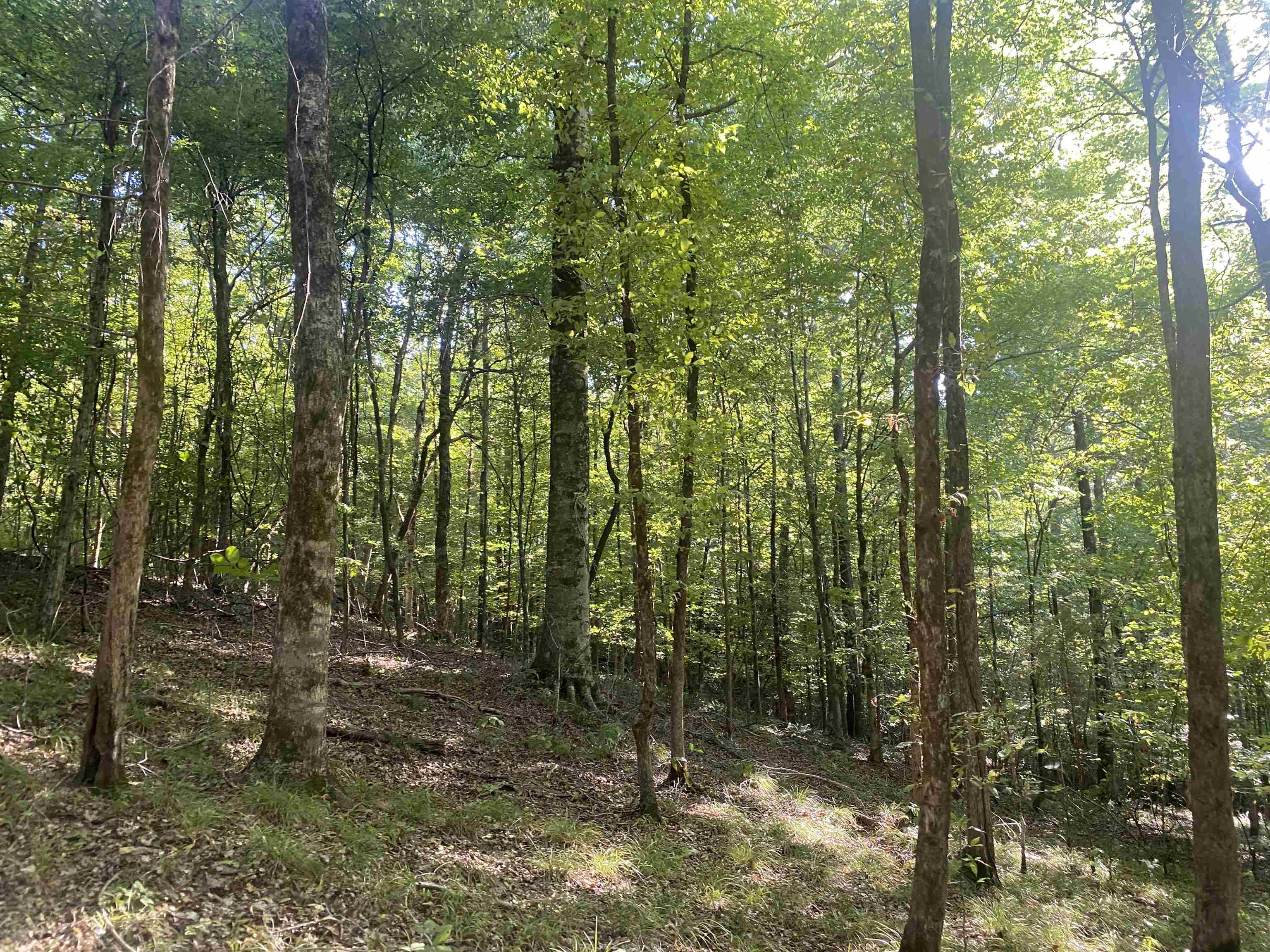 1 Friendship Loop Property Photo 24