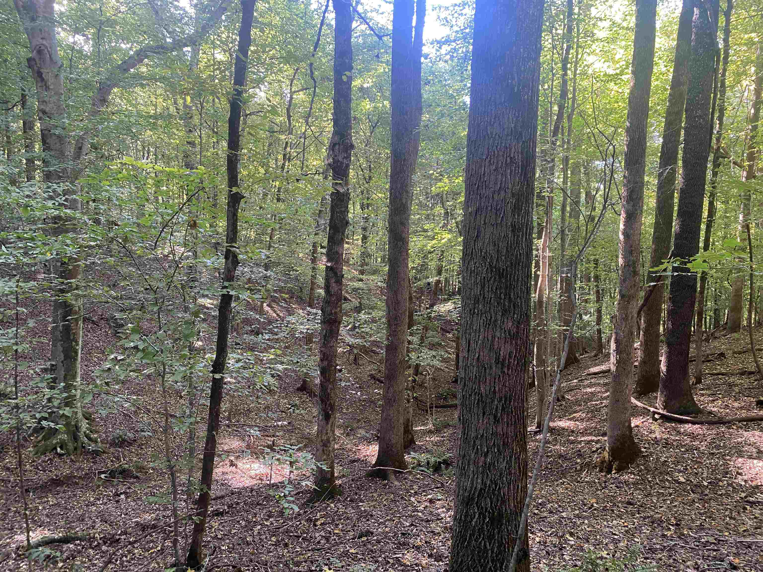 1 Friendship Loop Property Photo 25