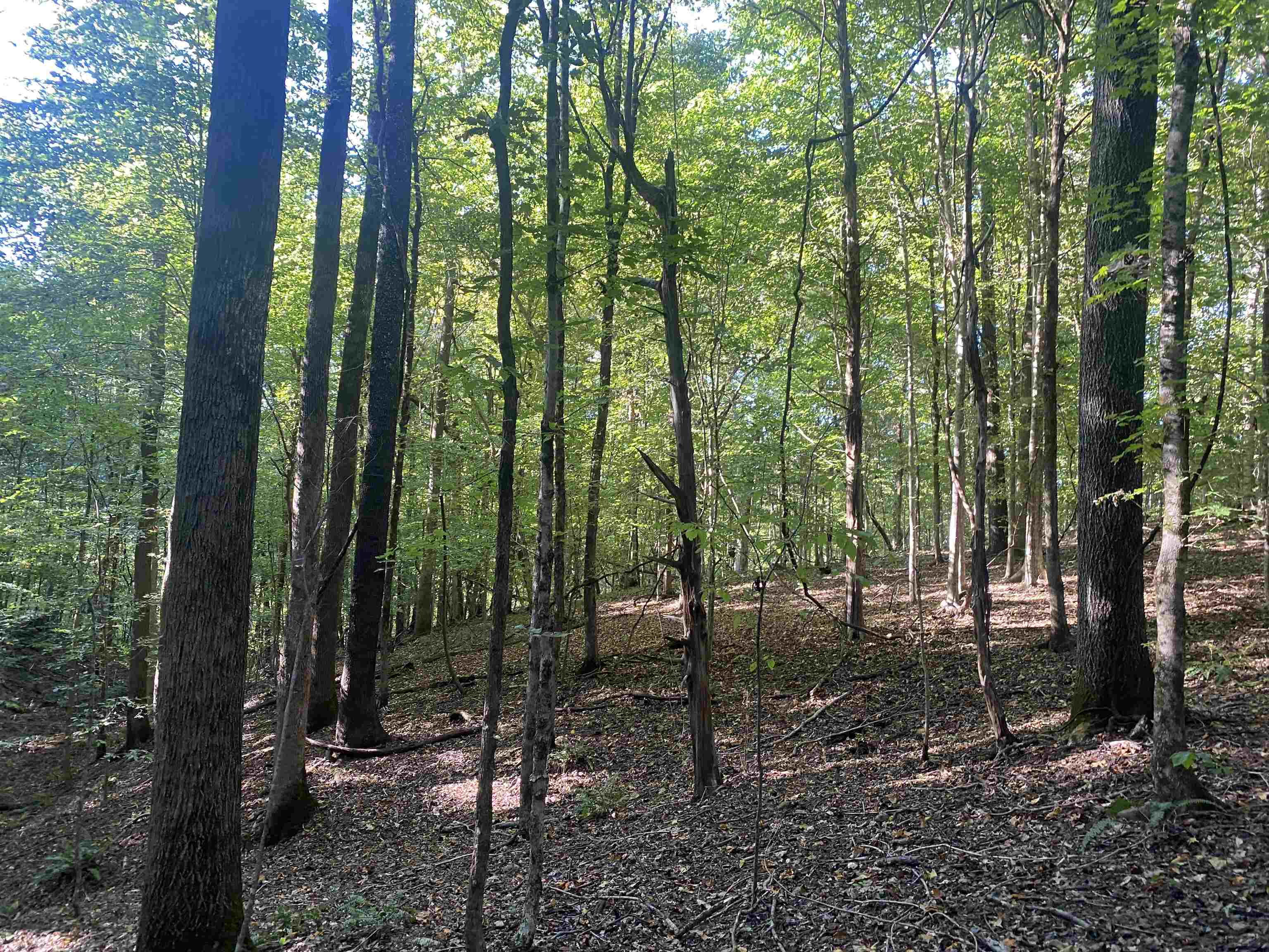 1 Friendship Loop Property Photo 26