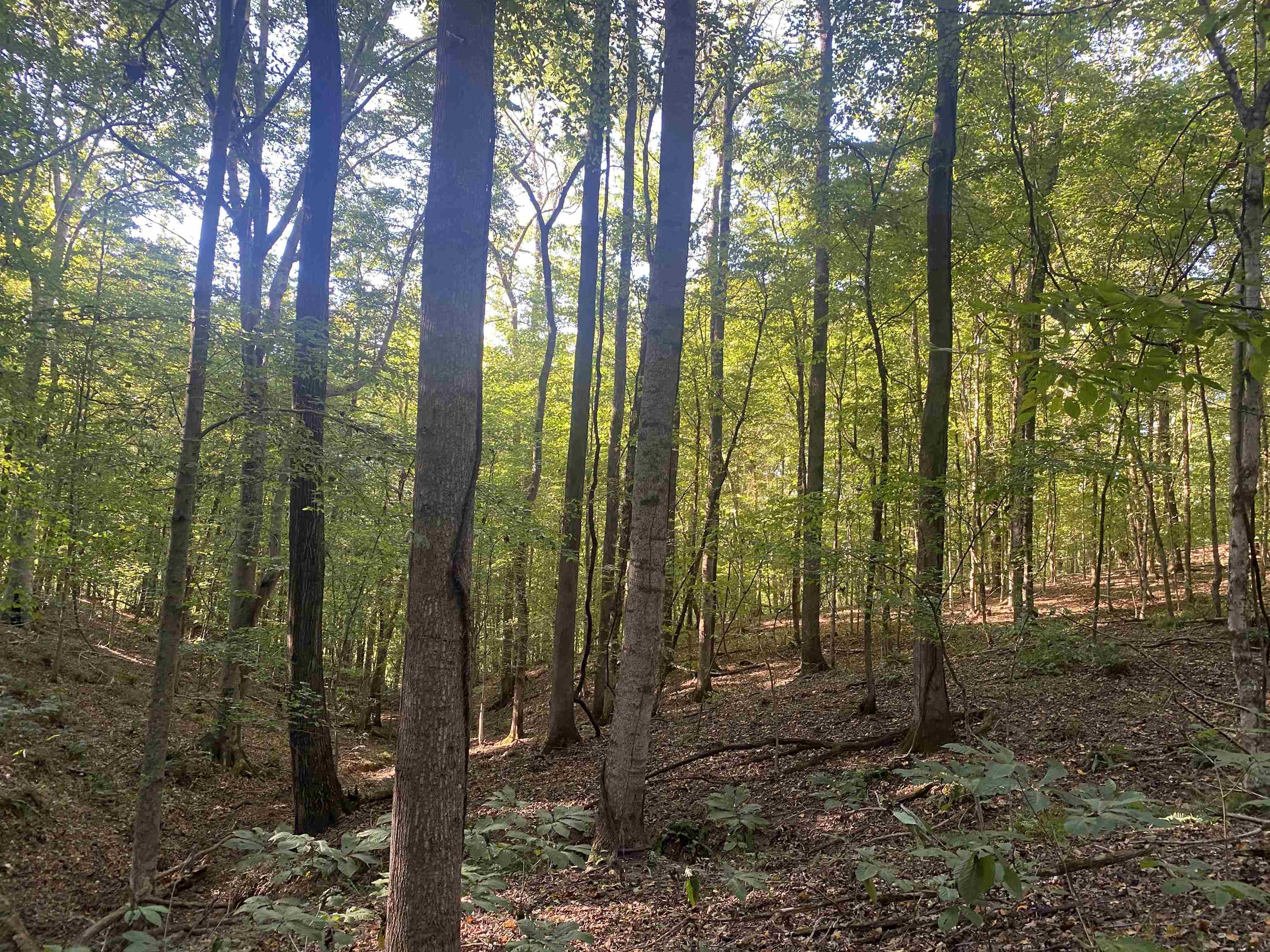 1 Friendship Loop Property Photo 27
