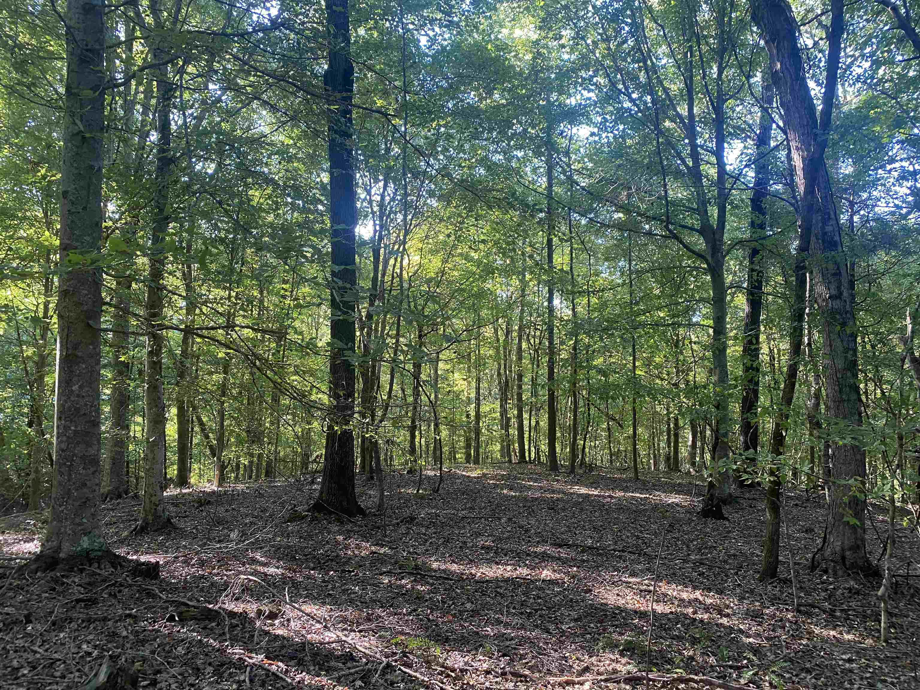 1 Friendship Loop Property Photo 28