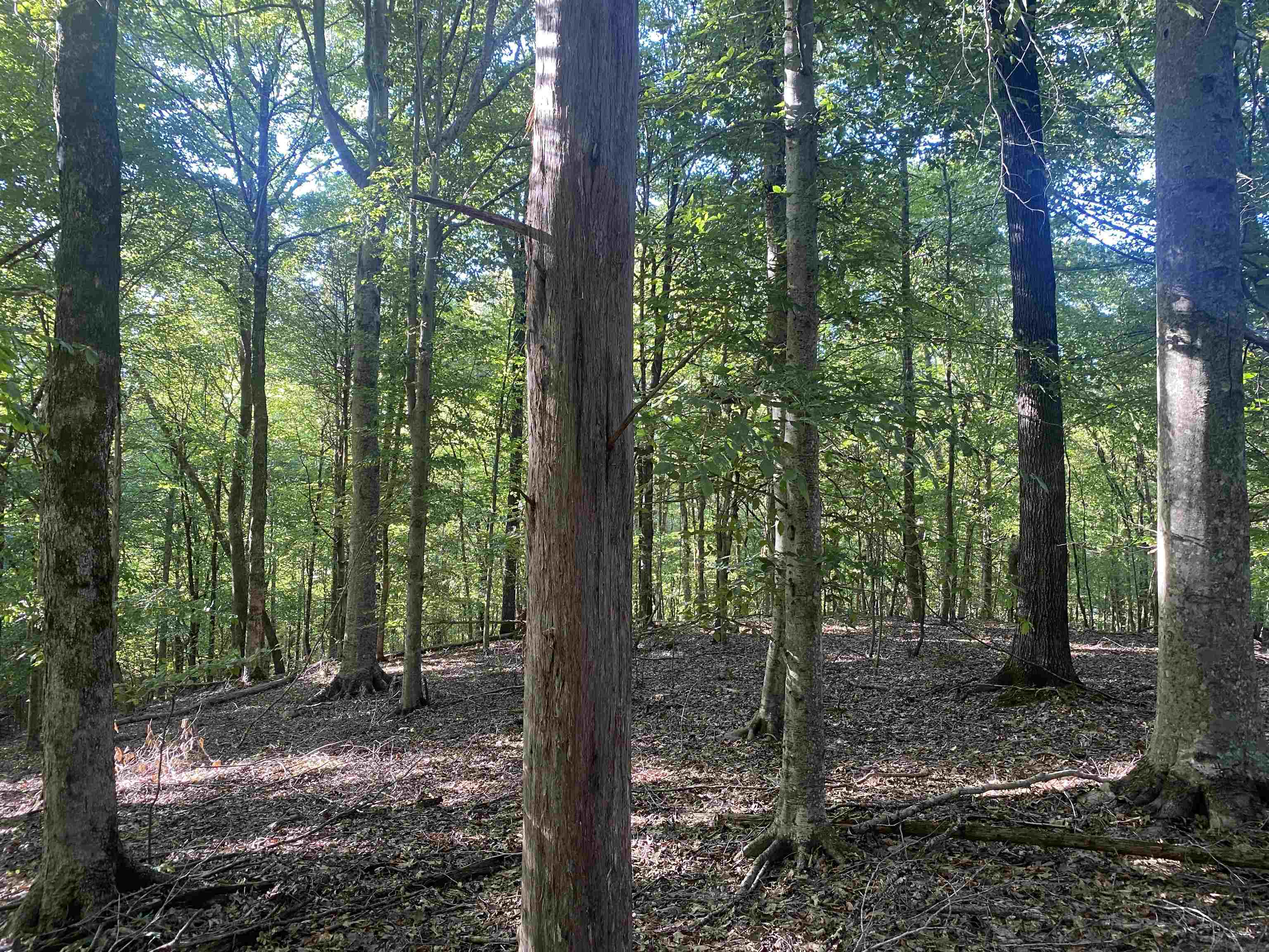 1 Friendship Loop Property Photo 29