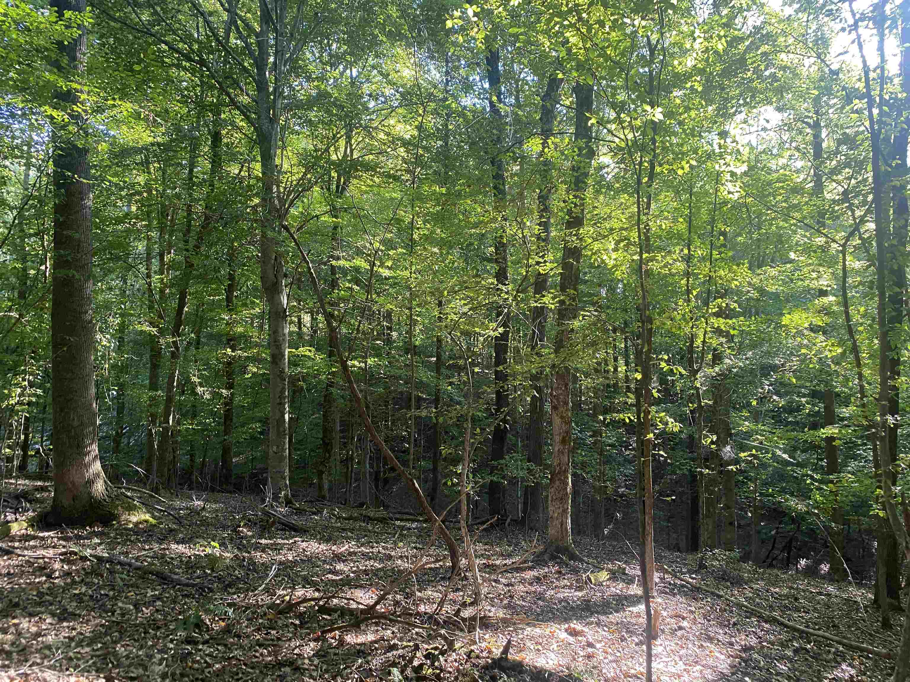 1 Friendship Loop Property Photo 30