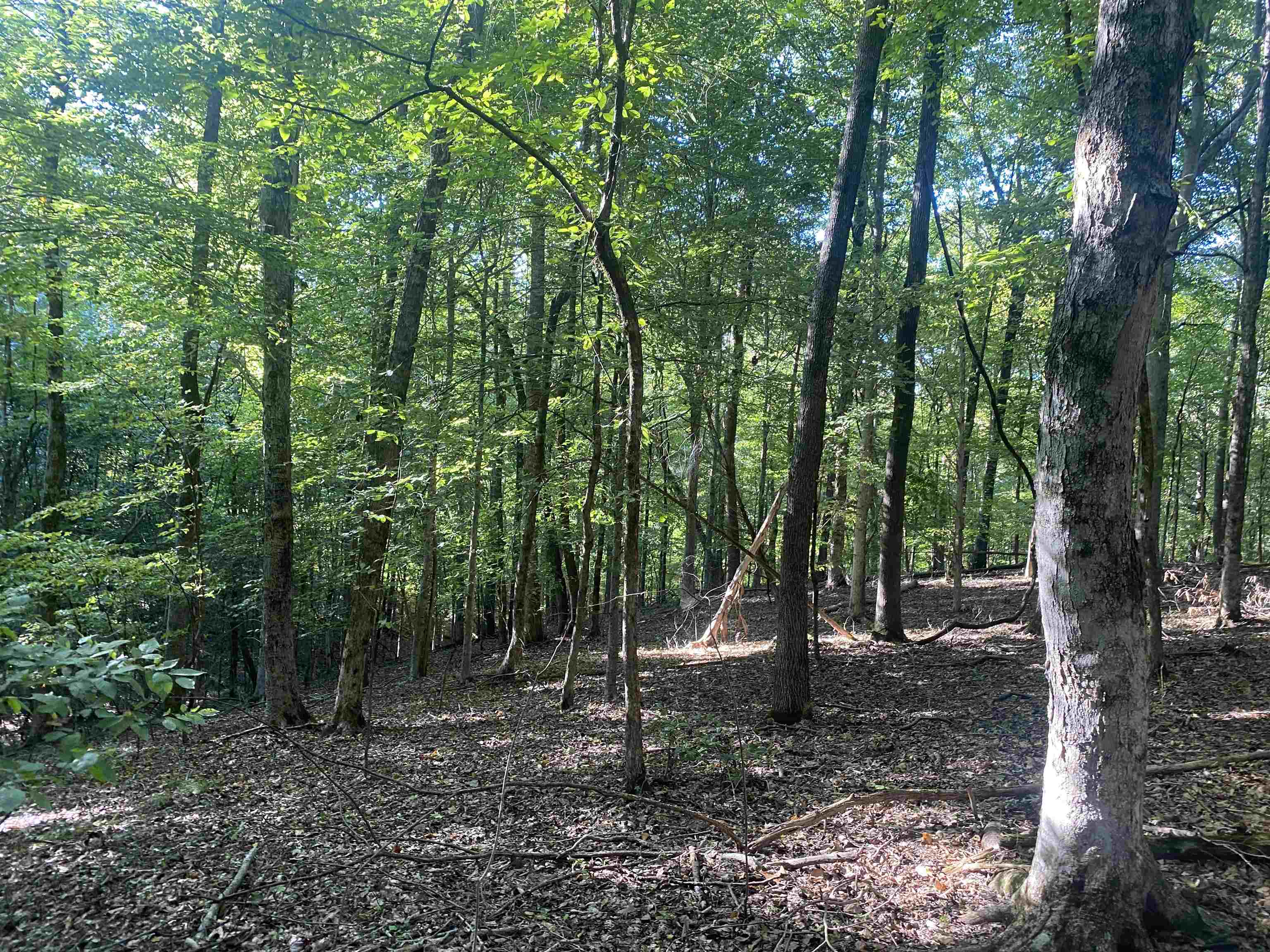 1 Friendship Loop Property Photo 31