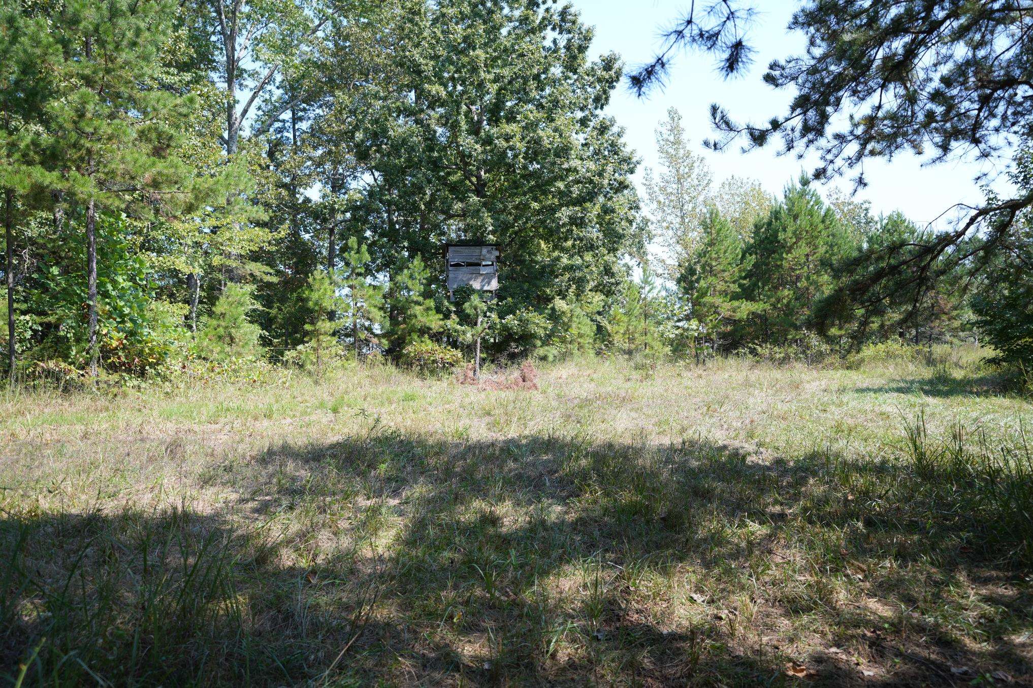 1 Bruton Rd Property Photo 24