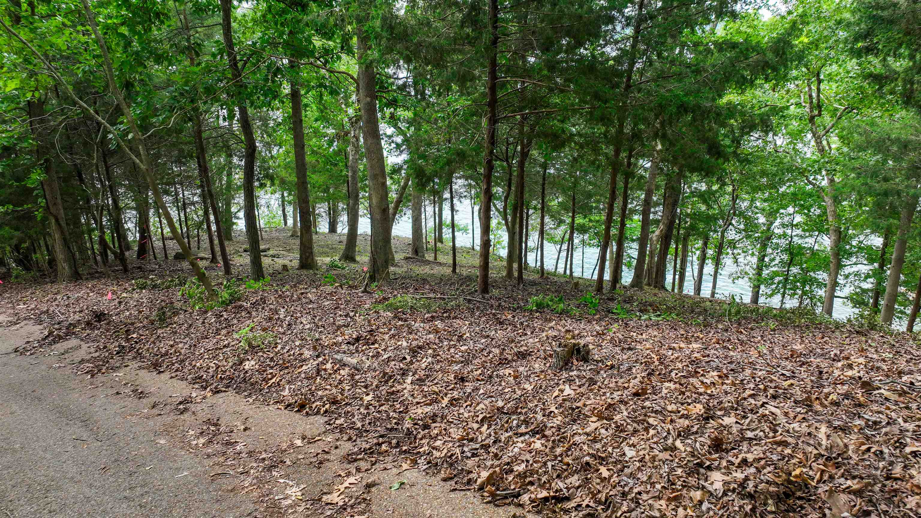 2 Point Grand Dr Property Photo 12