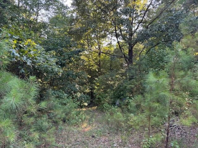 New Union Loop Property Photo 2