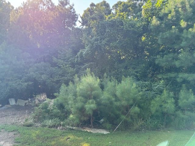 New Union Loop Property Photo 3