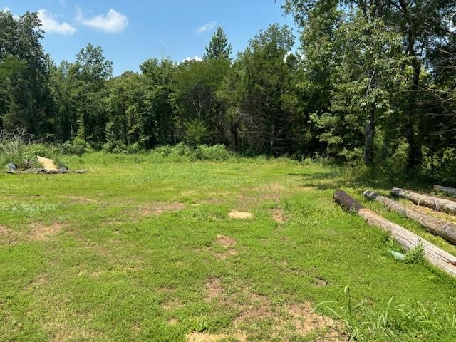 196 Boyd Ln Property Photo 3