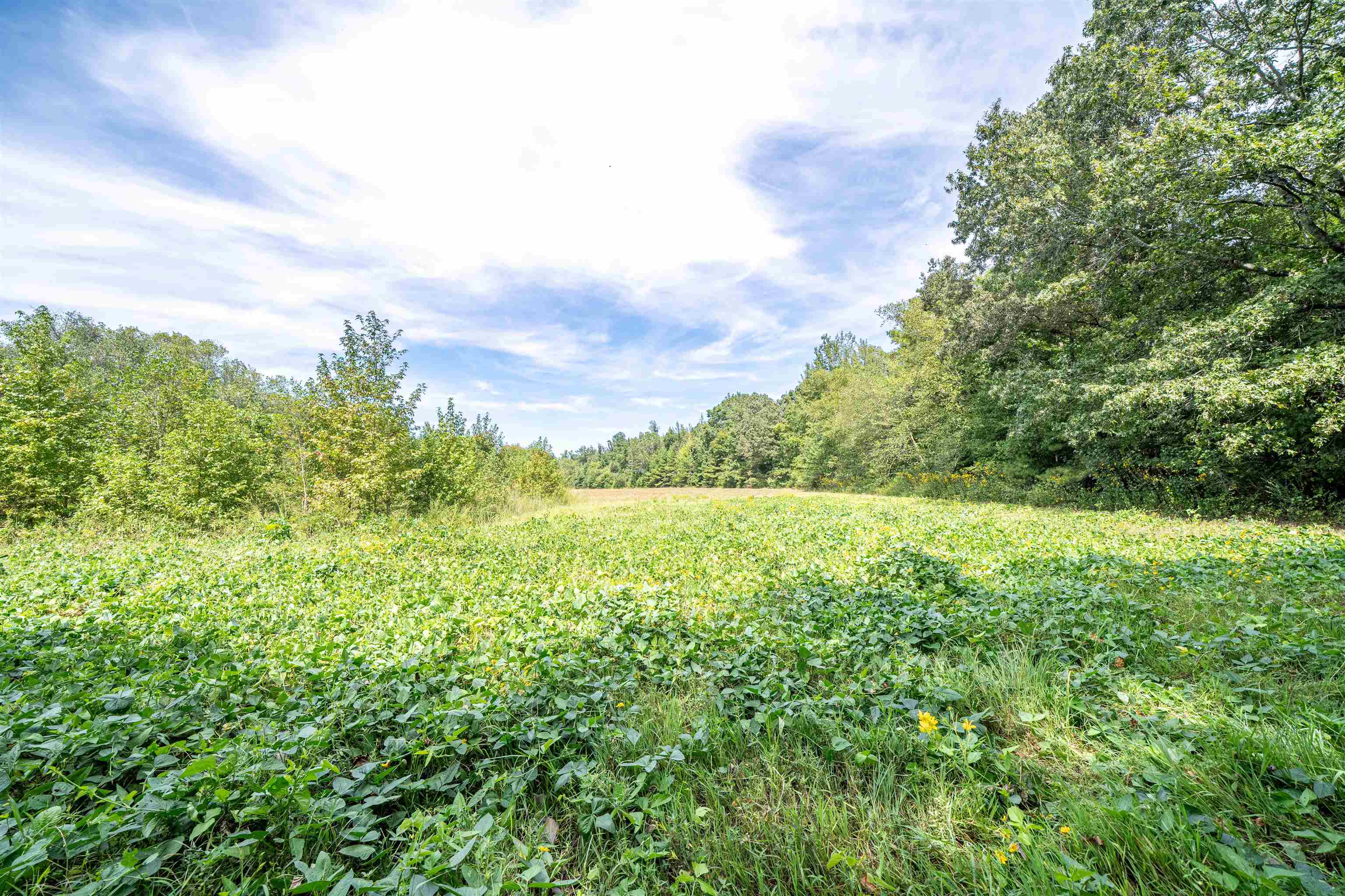 1485 Walton Rd Property Photo 16