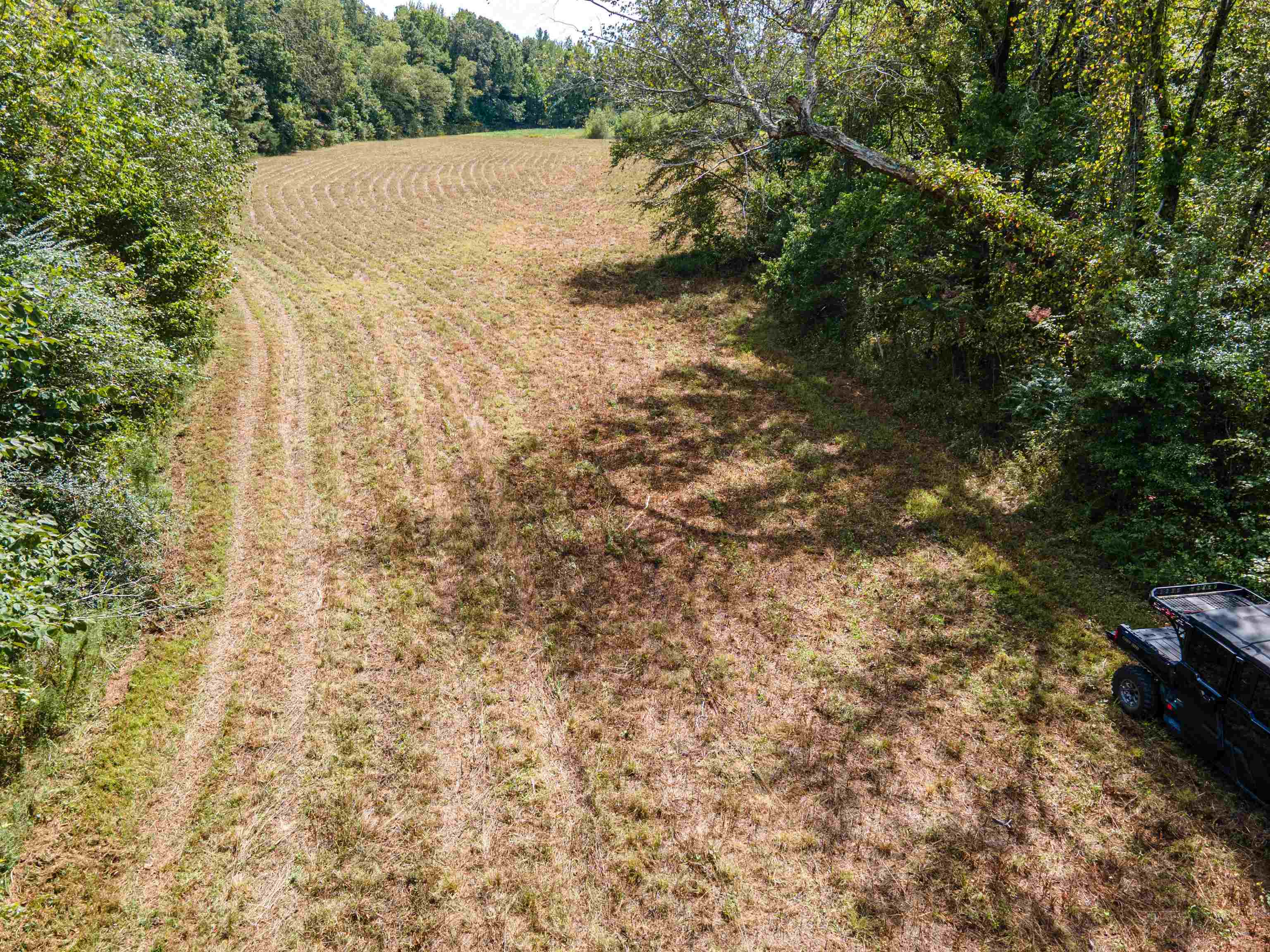 1485 Walton Rd Property Photo 17