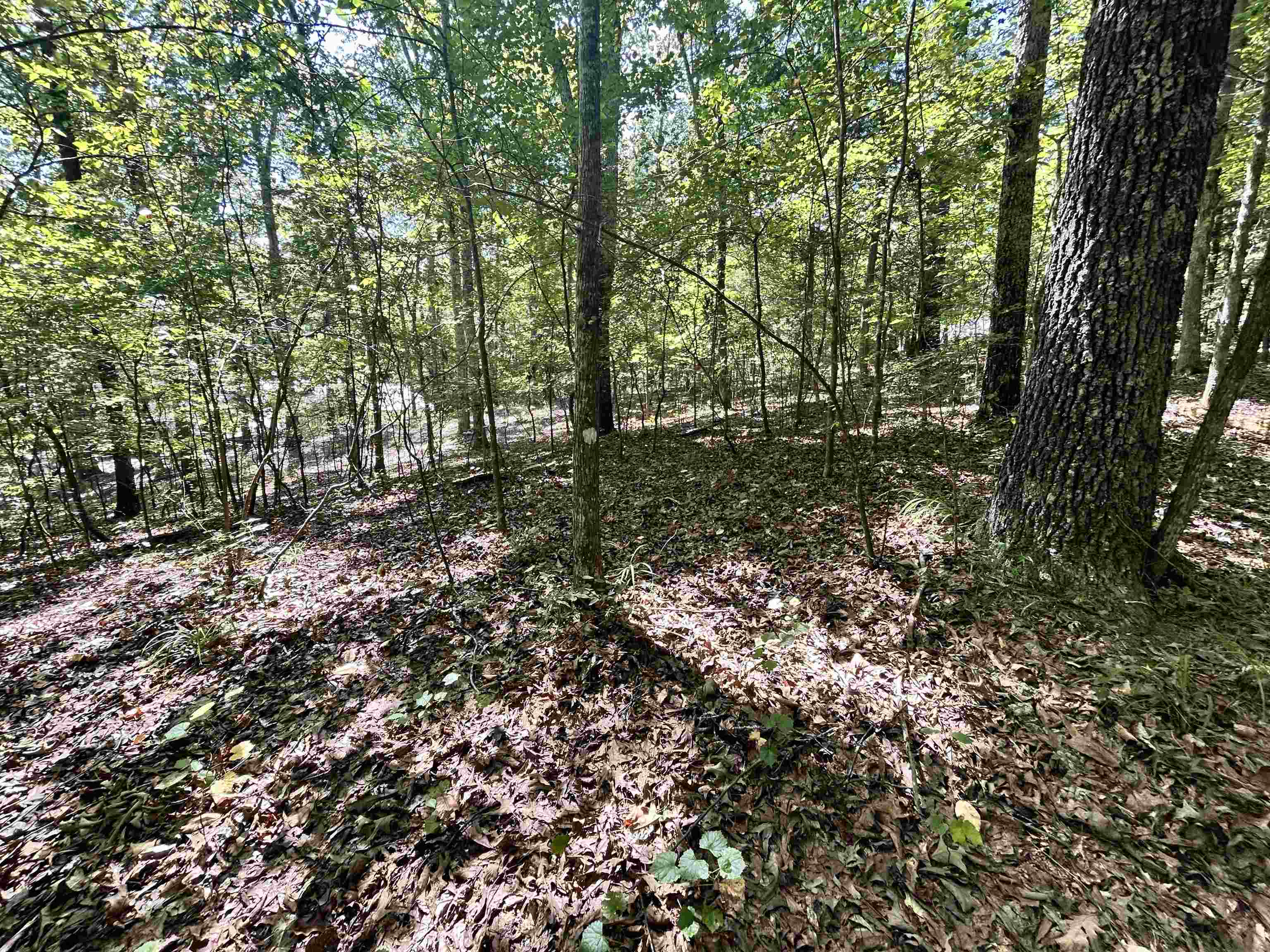 65 Woodrun Dr Wr65 Property Photo 2