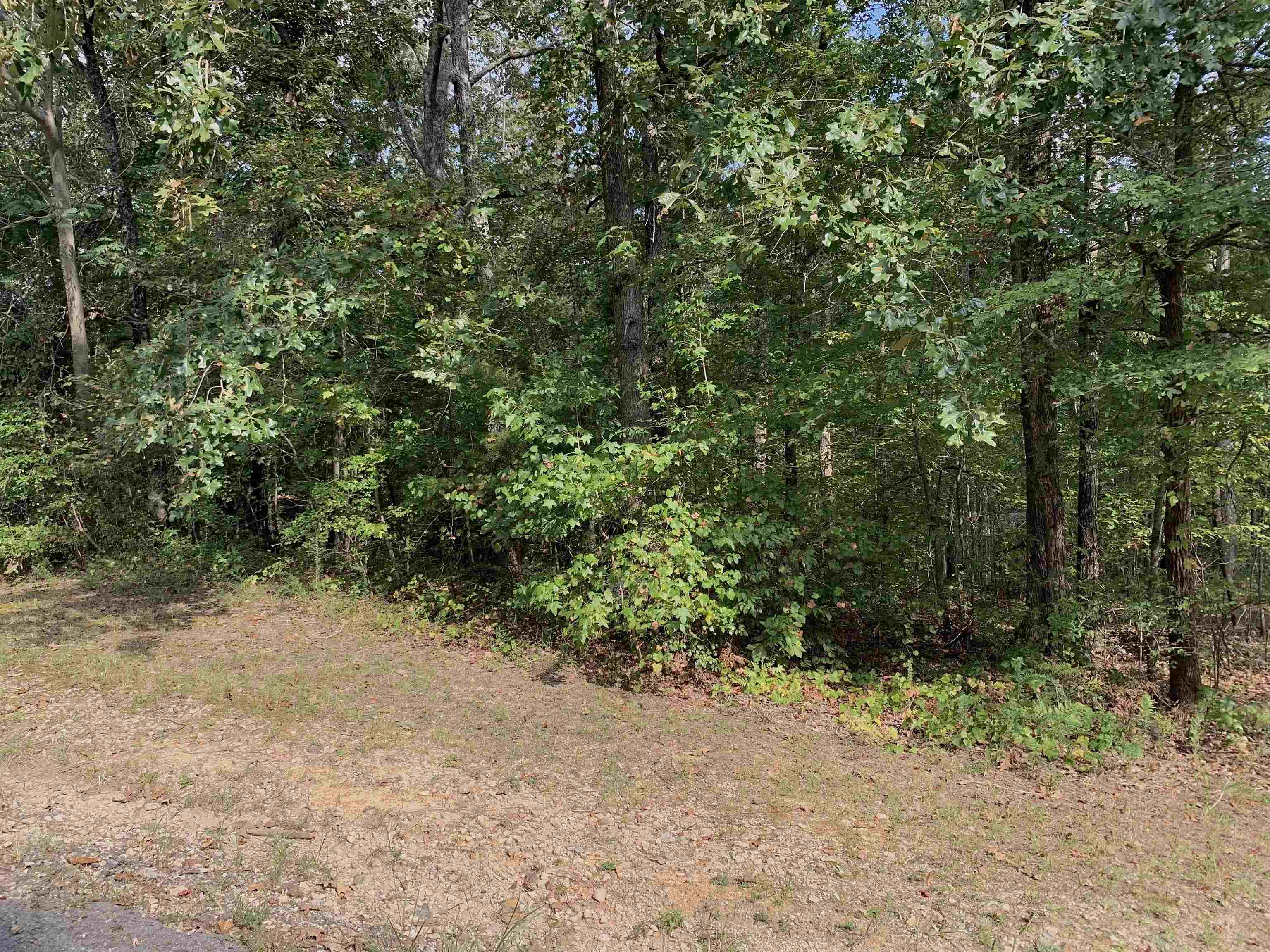65 Woodrun Dr Wr65 Property Photo 5