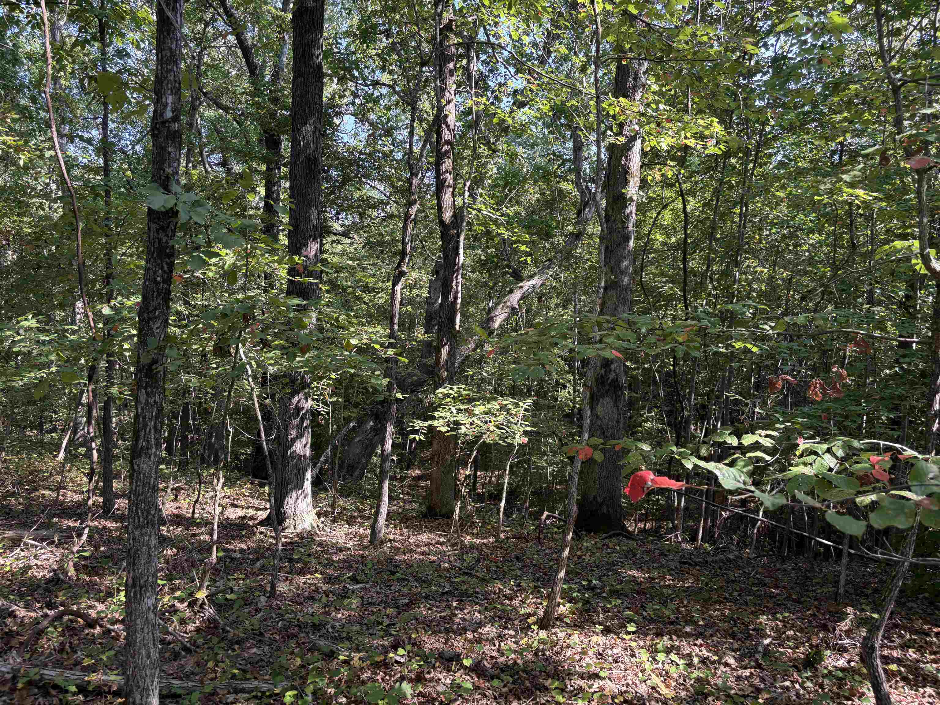 0 County Rd 227 Rd Property Photo 8