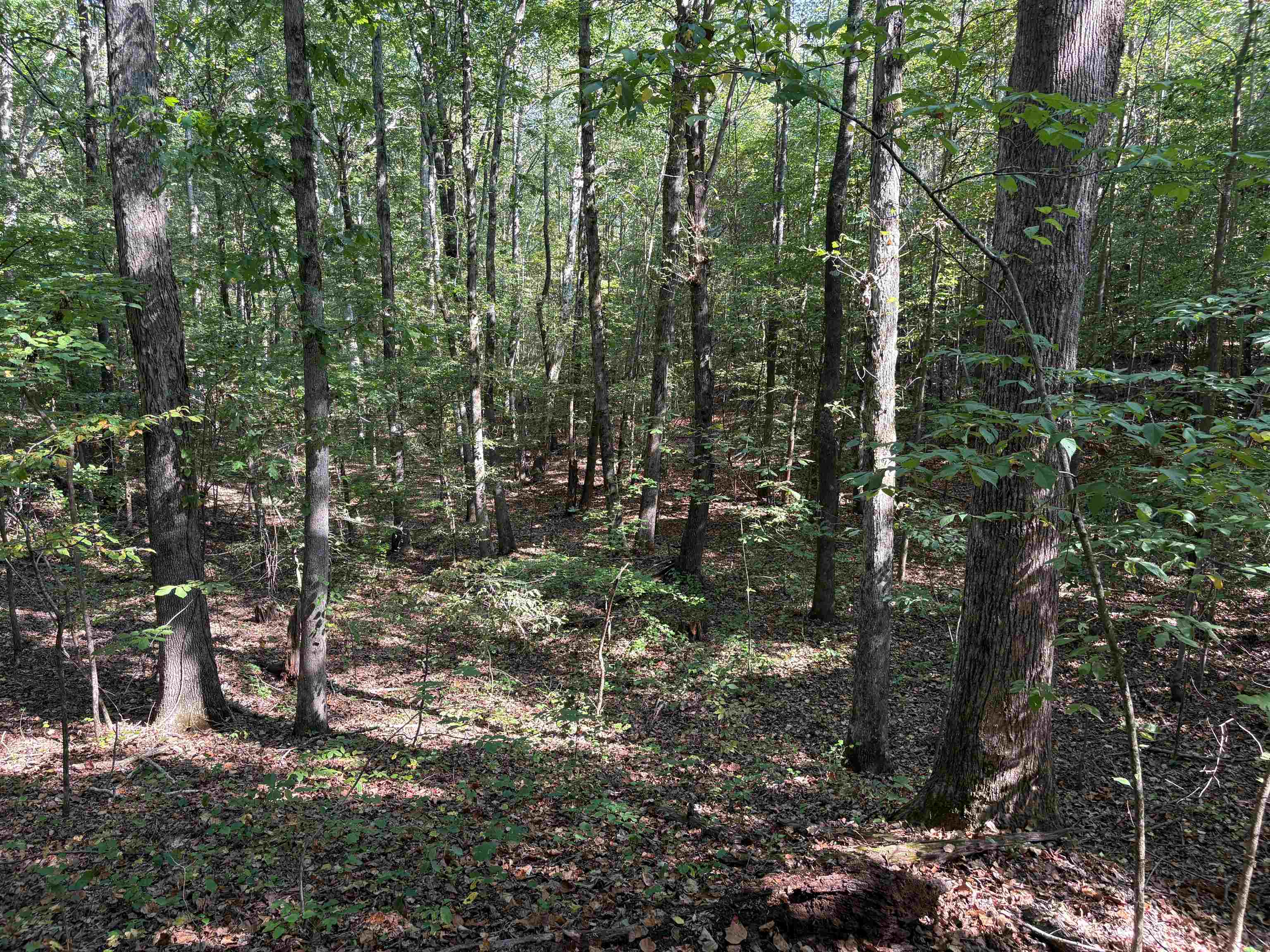 0 County Rd 227 Rd Property Photo 10