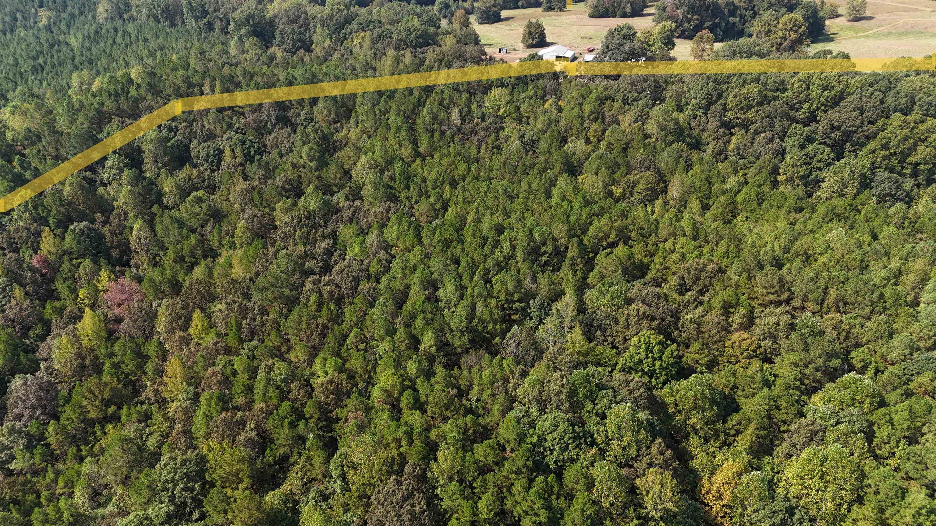 0 County Rd 227 Rd Property Photo 11