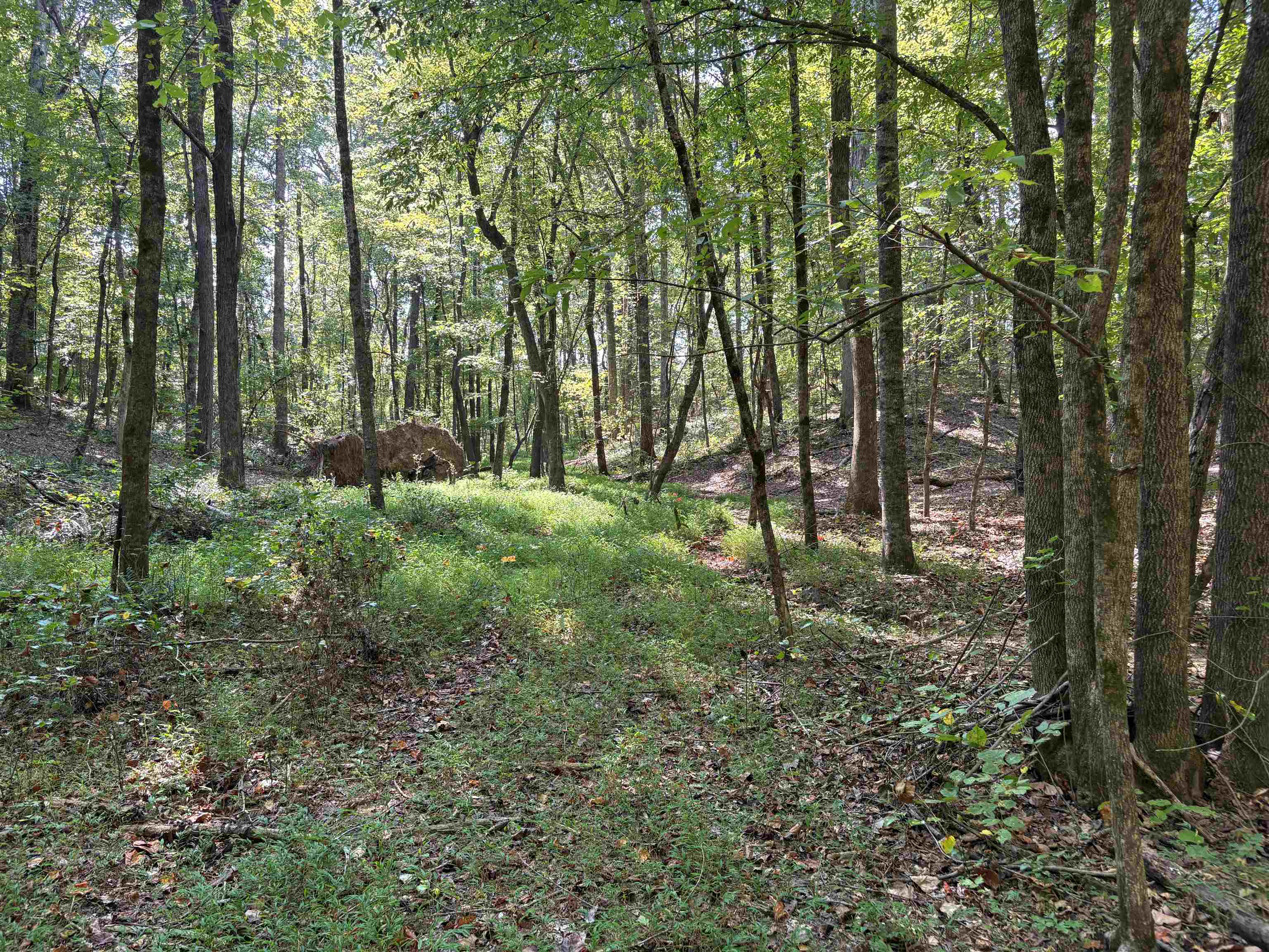 0 County Rd 227 Rd Property Photo 14