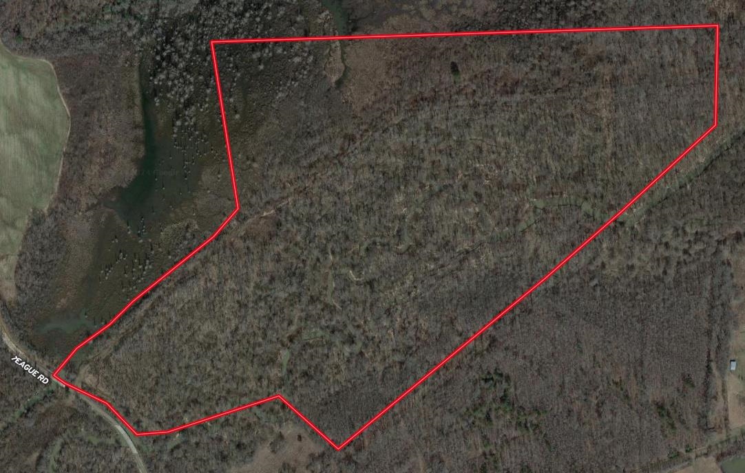 000 TEAGUE RD Property Photo 1