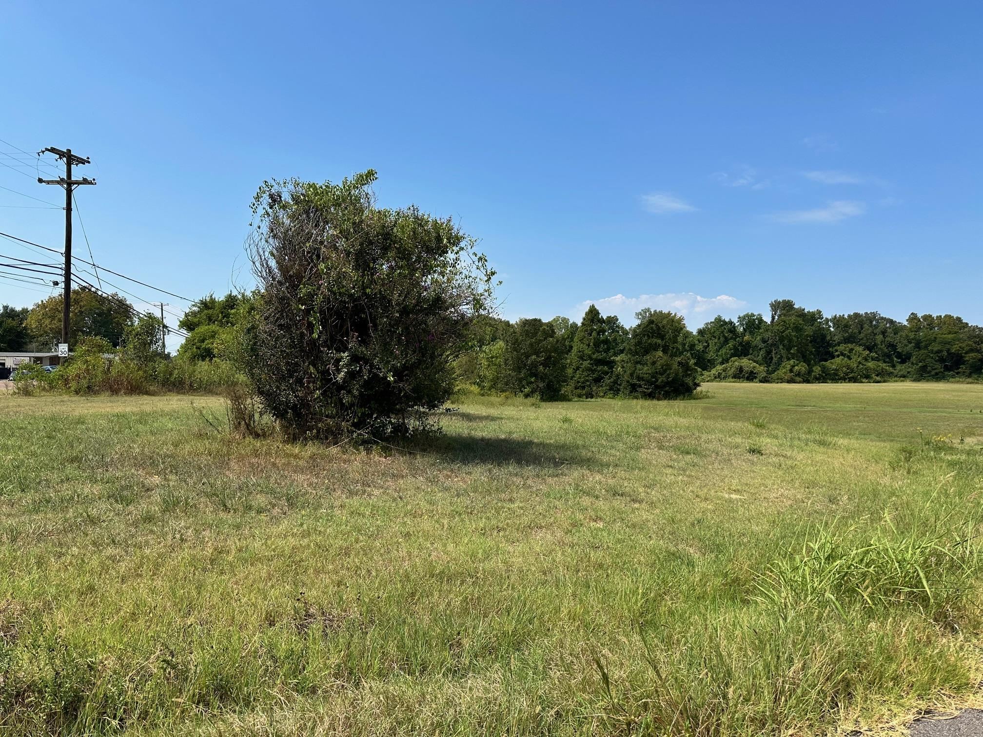 000 Shelby Rd Property Photo 3