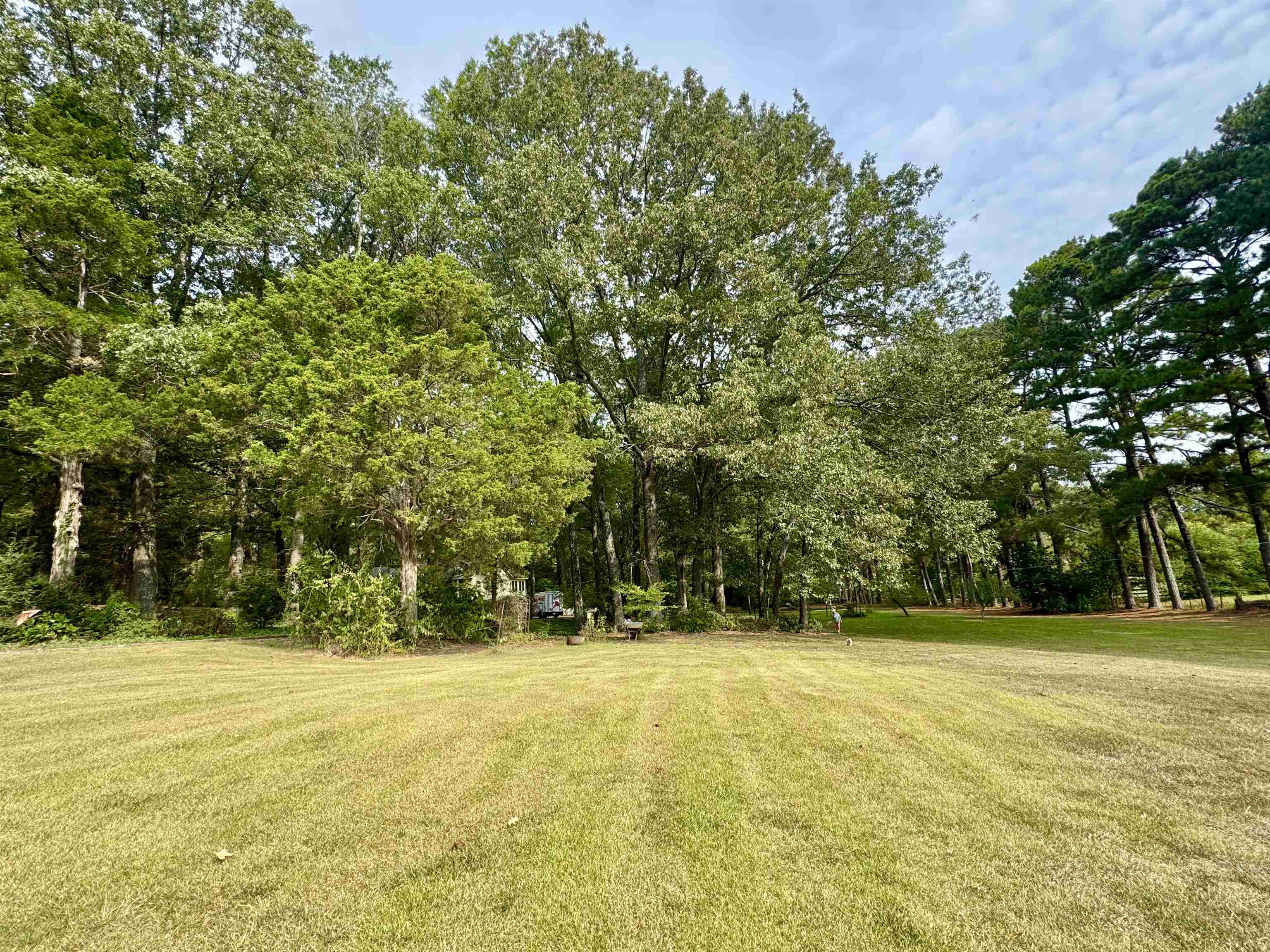240 Big Bell Loop Property Photo 1