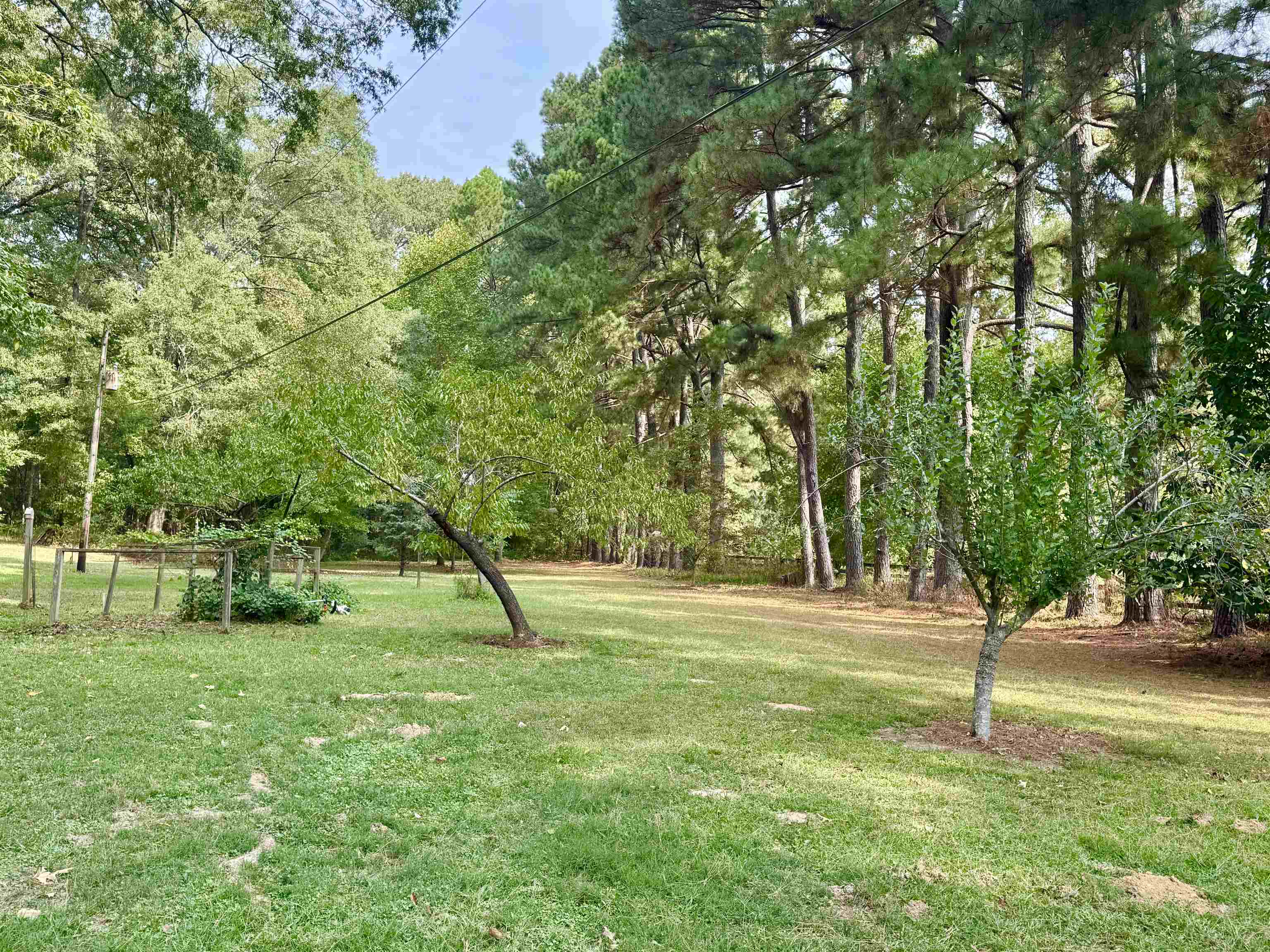 240 Big Bell Loop Property Photo 3