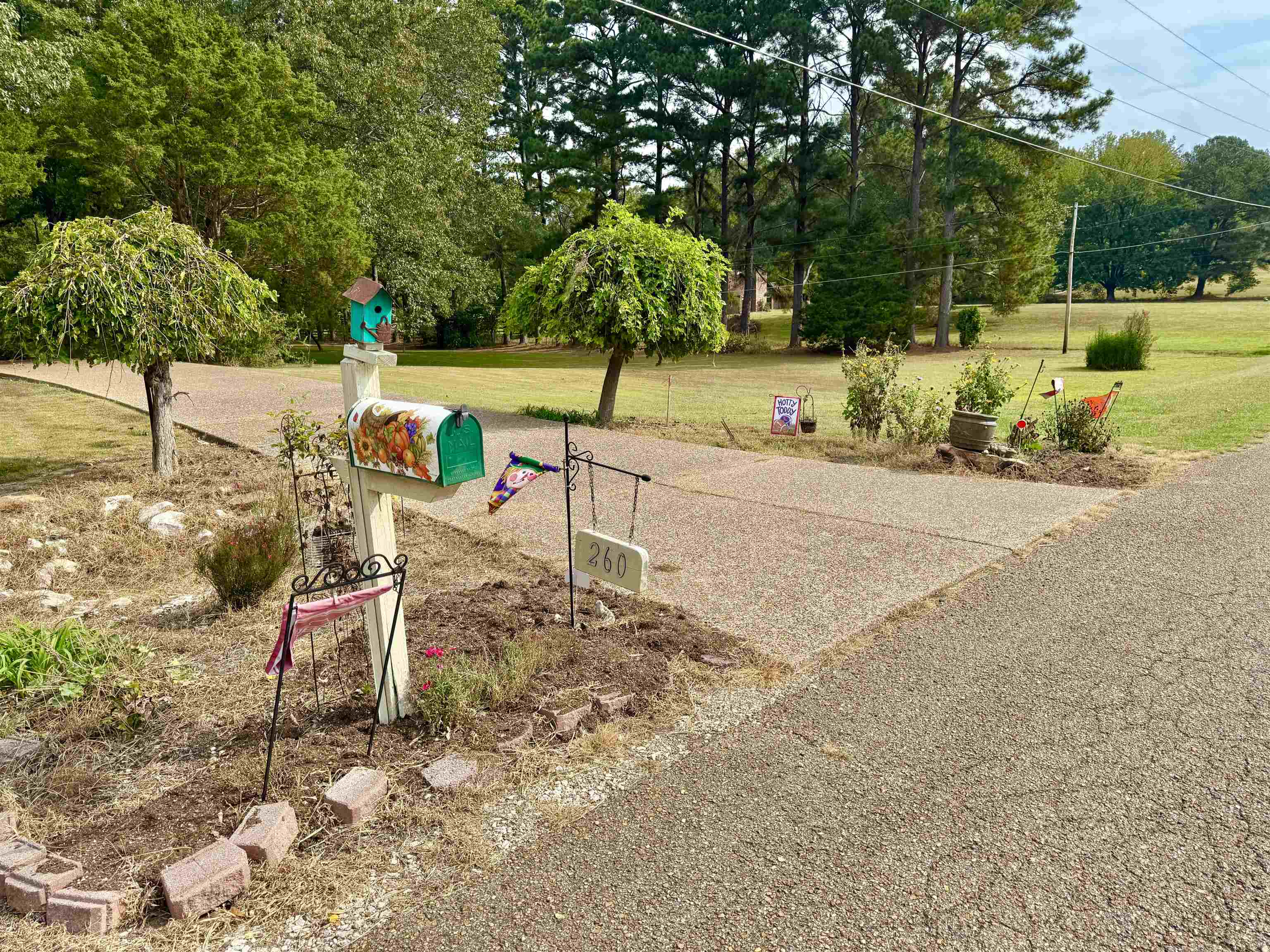 240 Big Bell Loop Property Photo 5