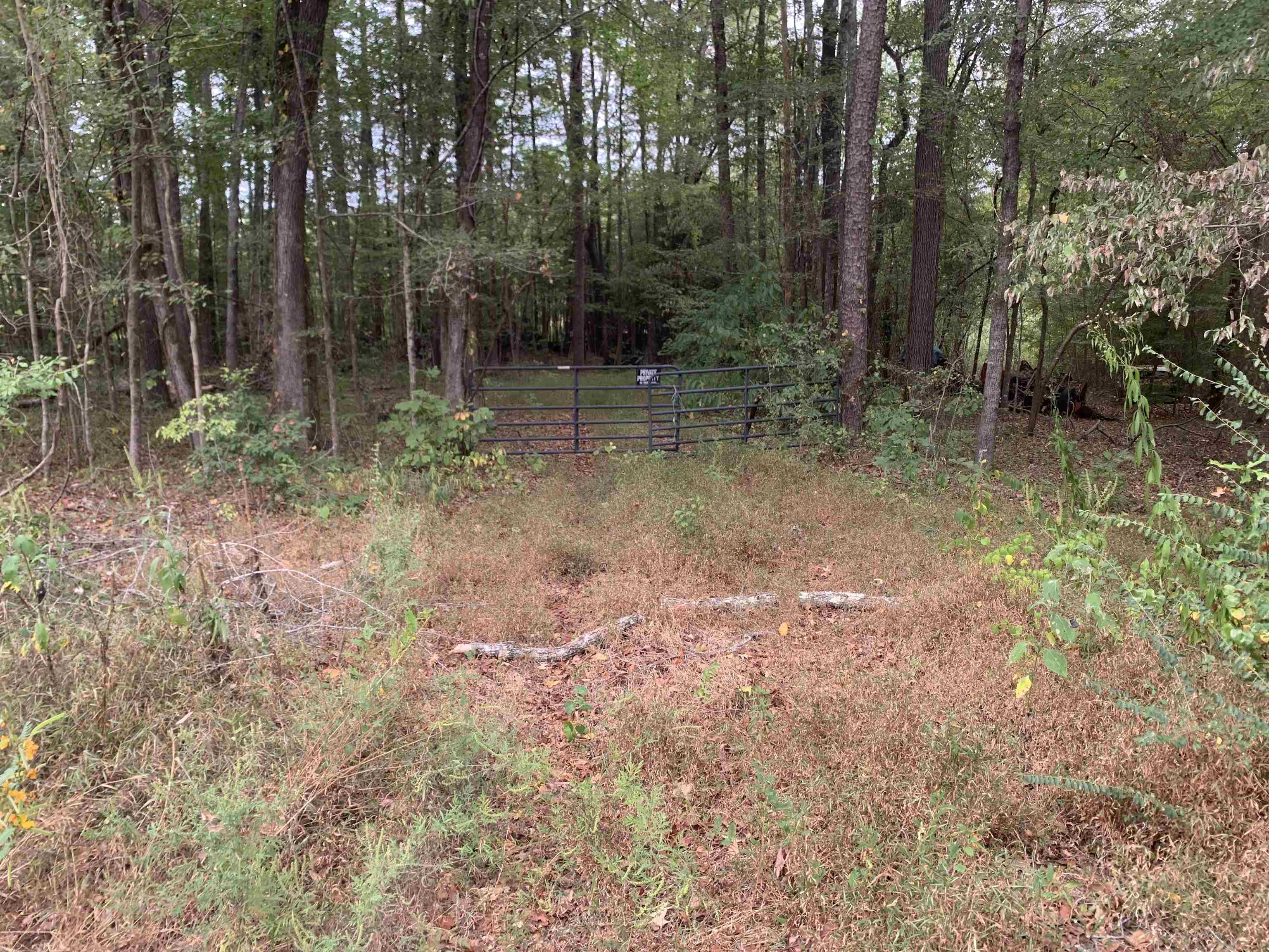 Butler Chapel Rd Property Photo 9