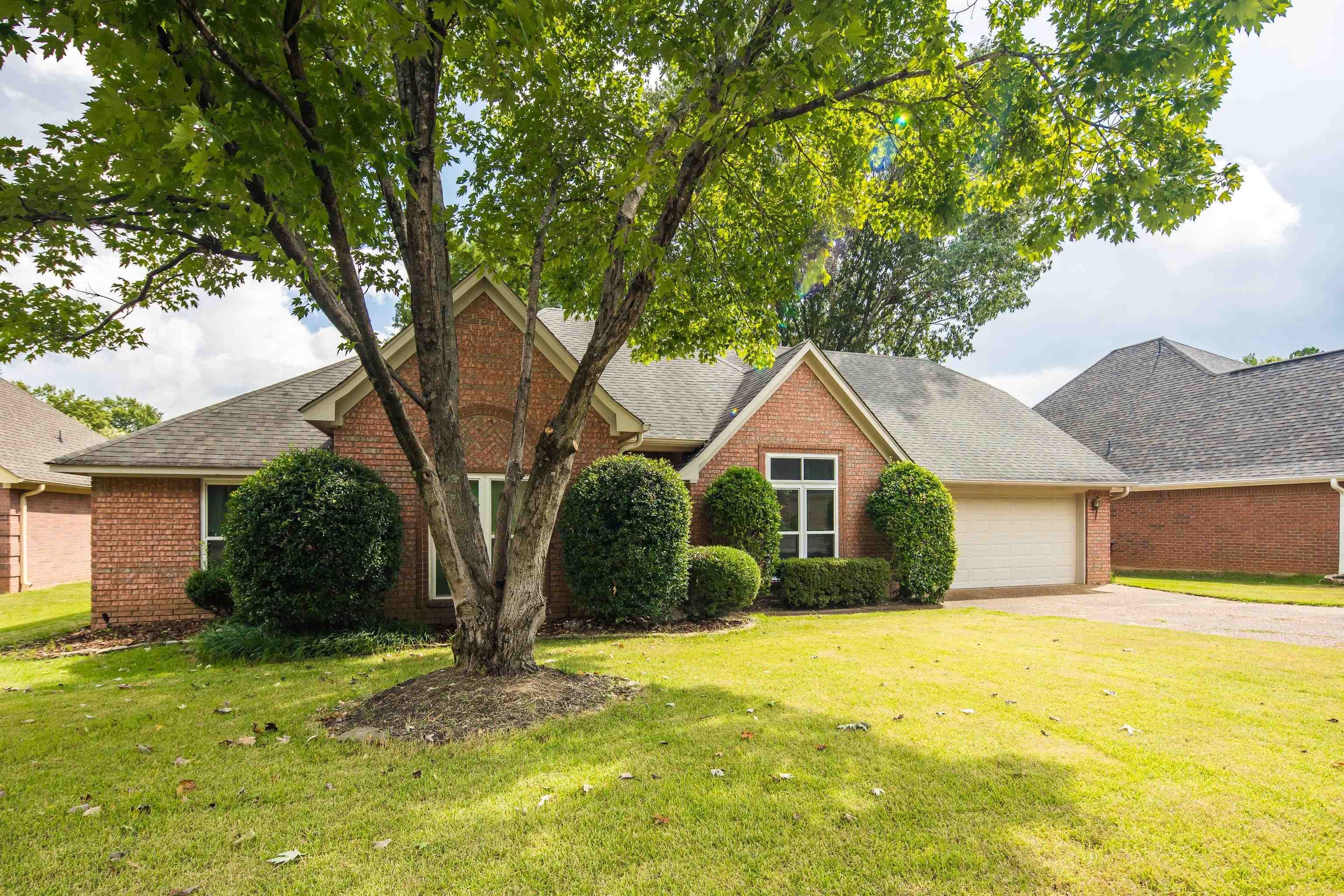 954 Wildbird Cv Property Photo 3