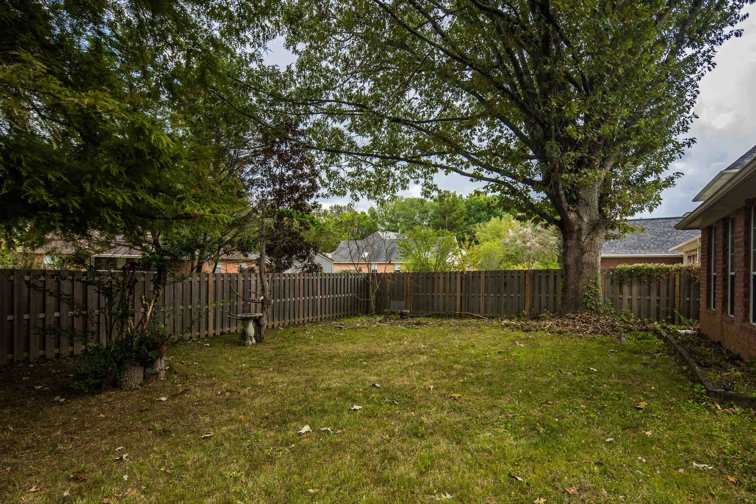 954 Wildbird Cv Property Photo 31