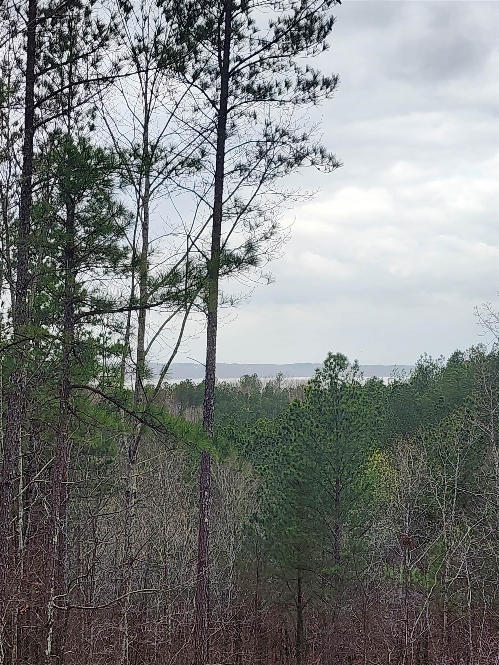 Lot #5 Eagle Point Dr Property Photo 1