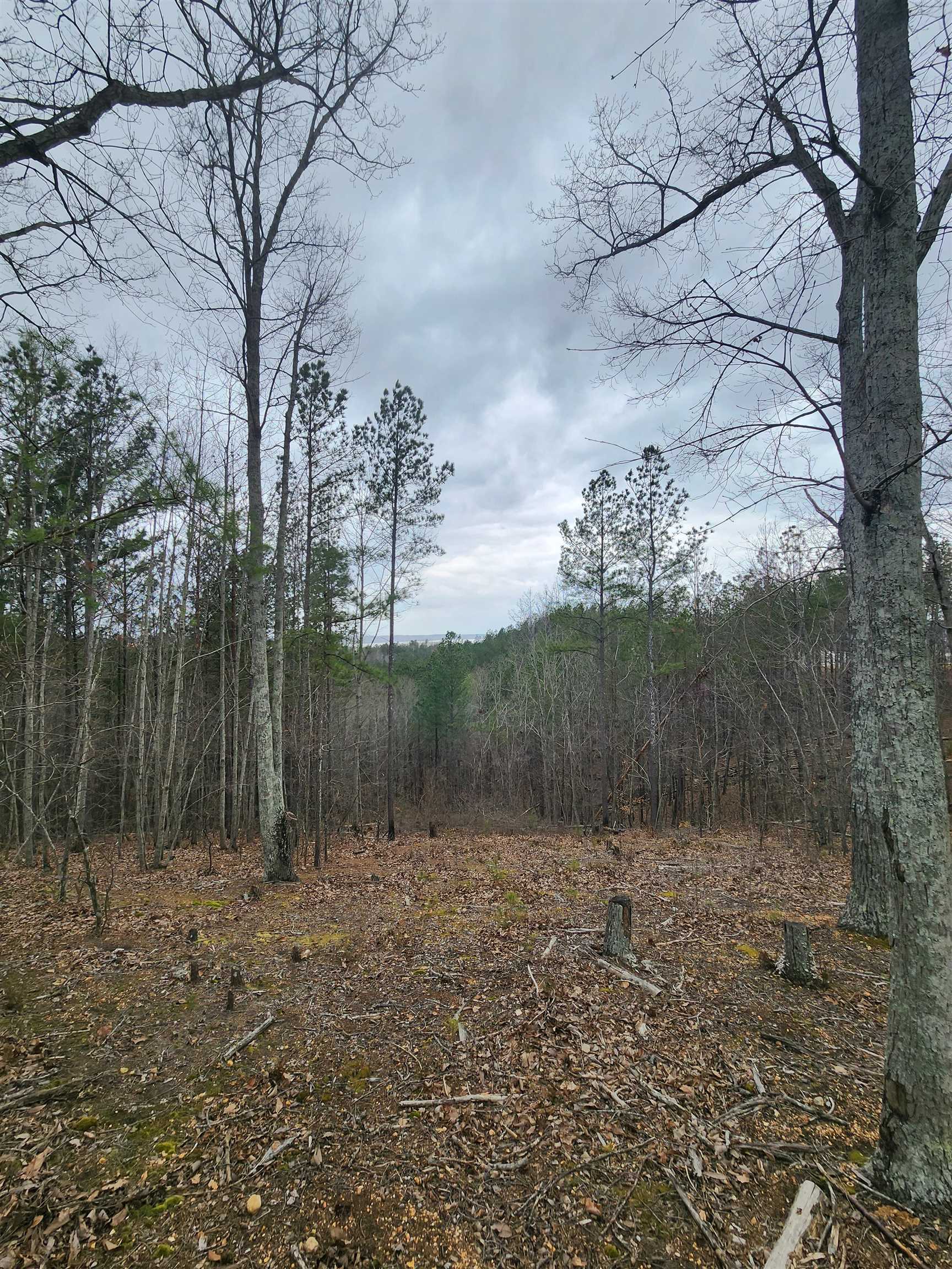 Lot #5 Eagle Point Dr Property Photo 4