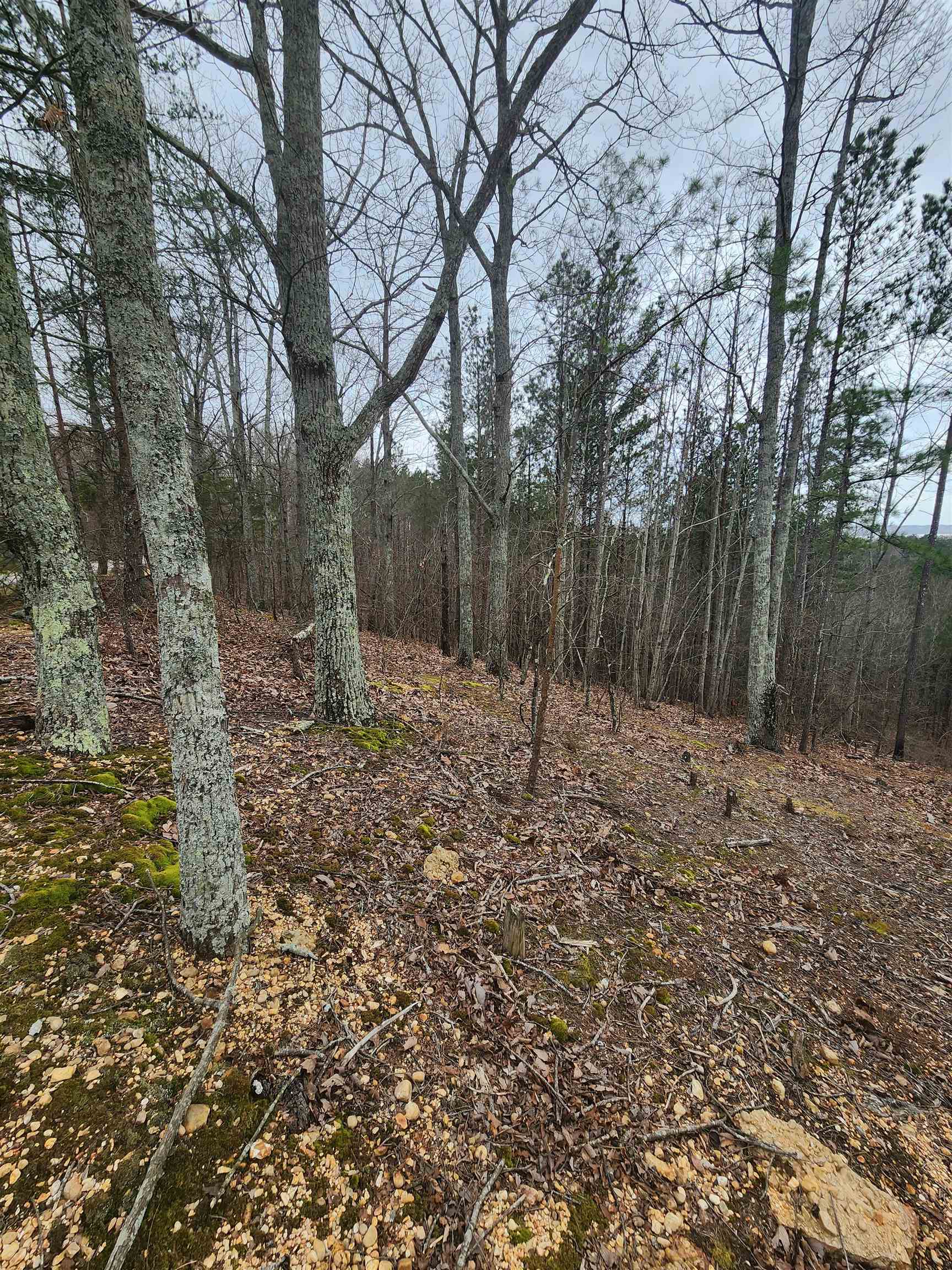 Lot #5 Eagle Point Dr Property Photo 7
